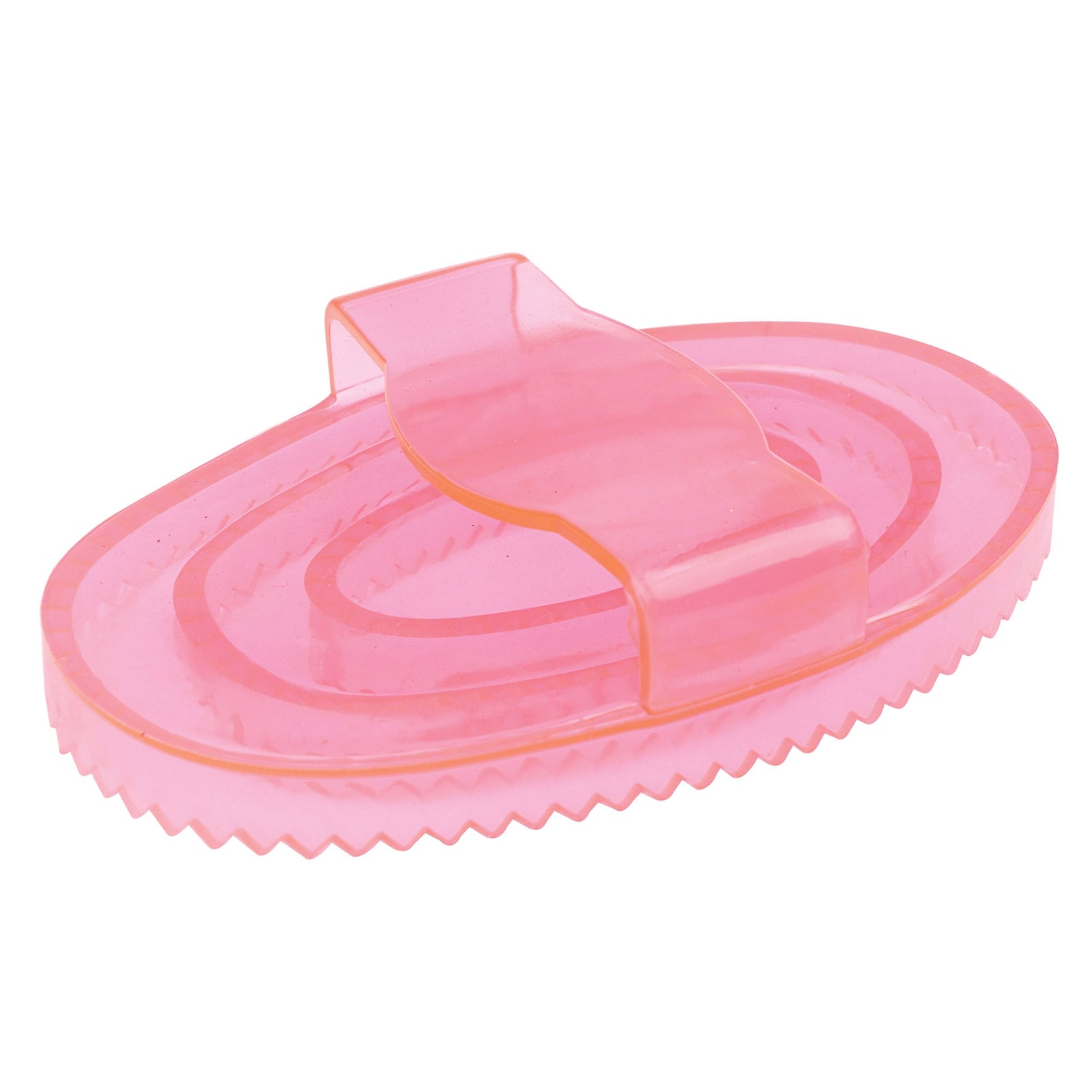 Roma Brights Gummistriegel Pferde Putzzeug