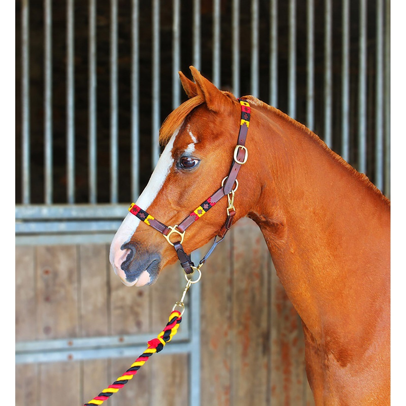 Chukka Lederhalfter Halfter & Stricke