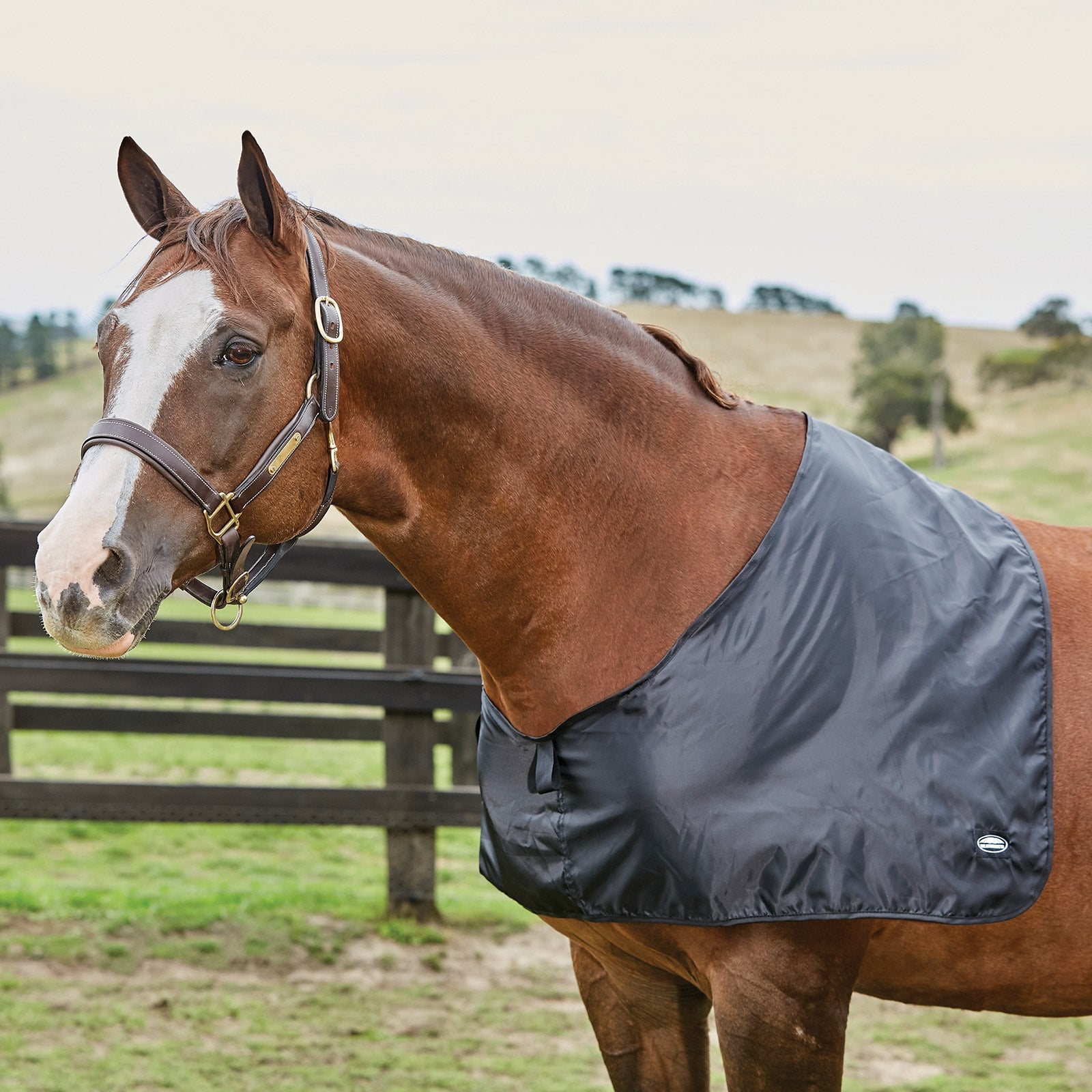 Weatherbeeta Satin Schulterschutz Pferdedecken