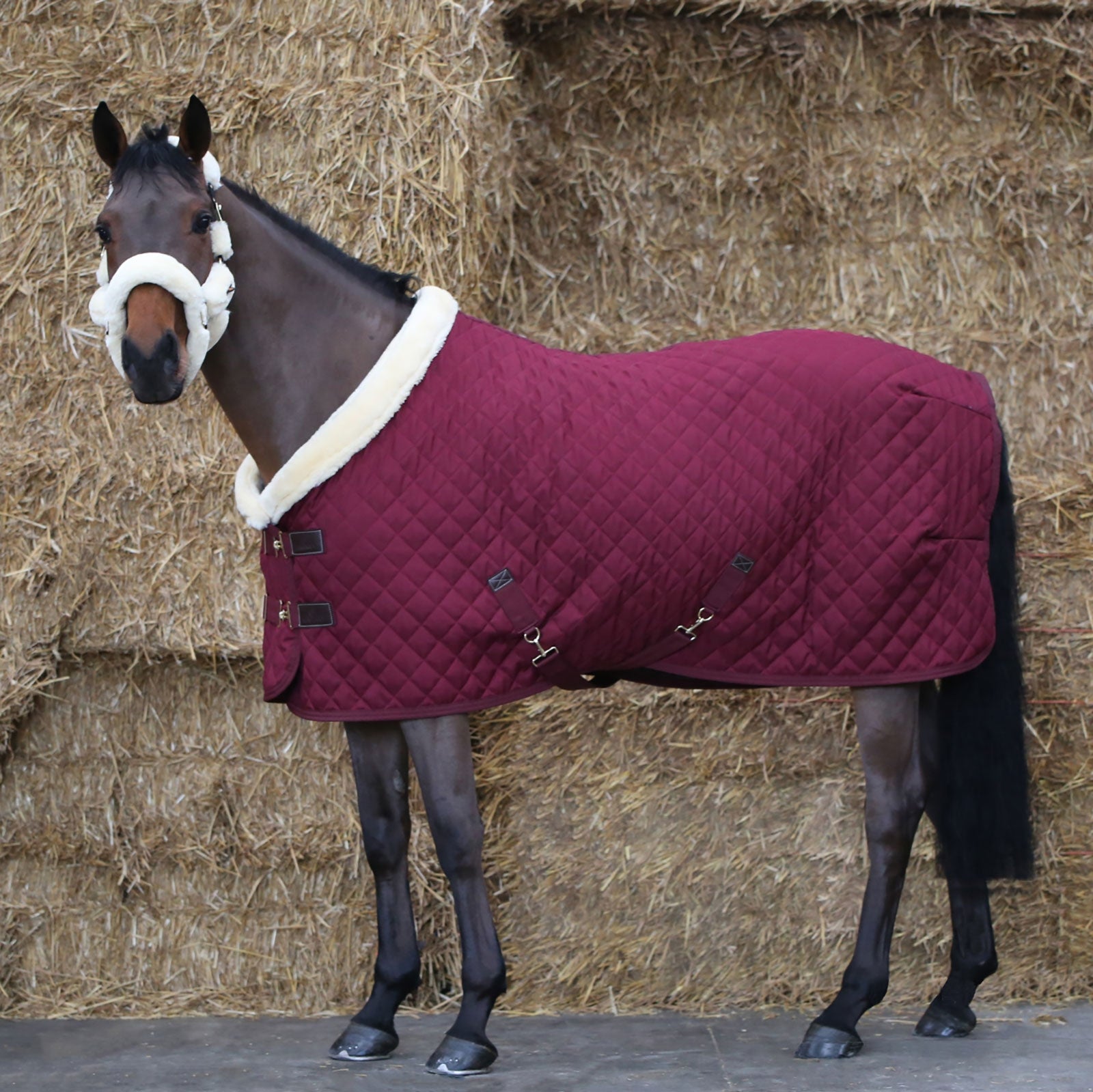 Kentucky Horsewear Turnierdecke,160g Pferdedecken