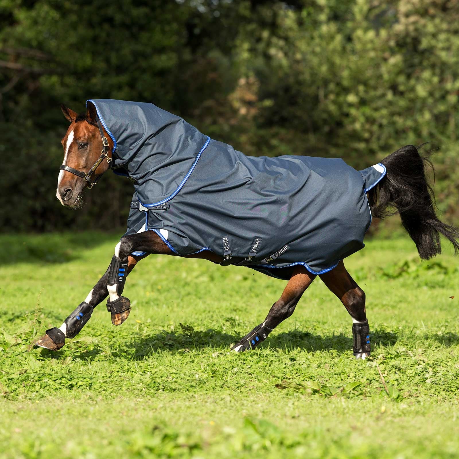 Horseware Amigo Bravo 12 Plus Regendecke Disc mit abnehmbarem Halsteil, 0g Pferdedecken