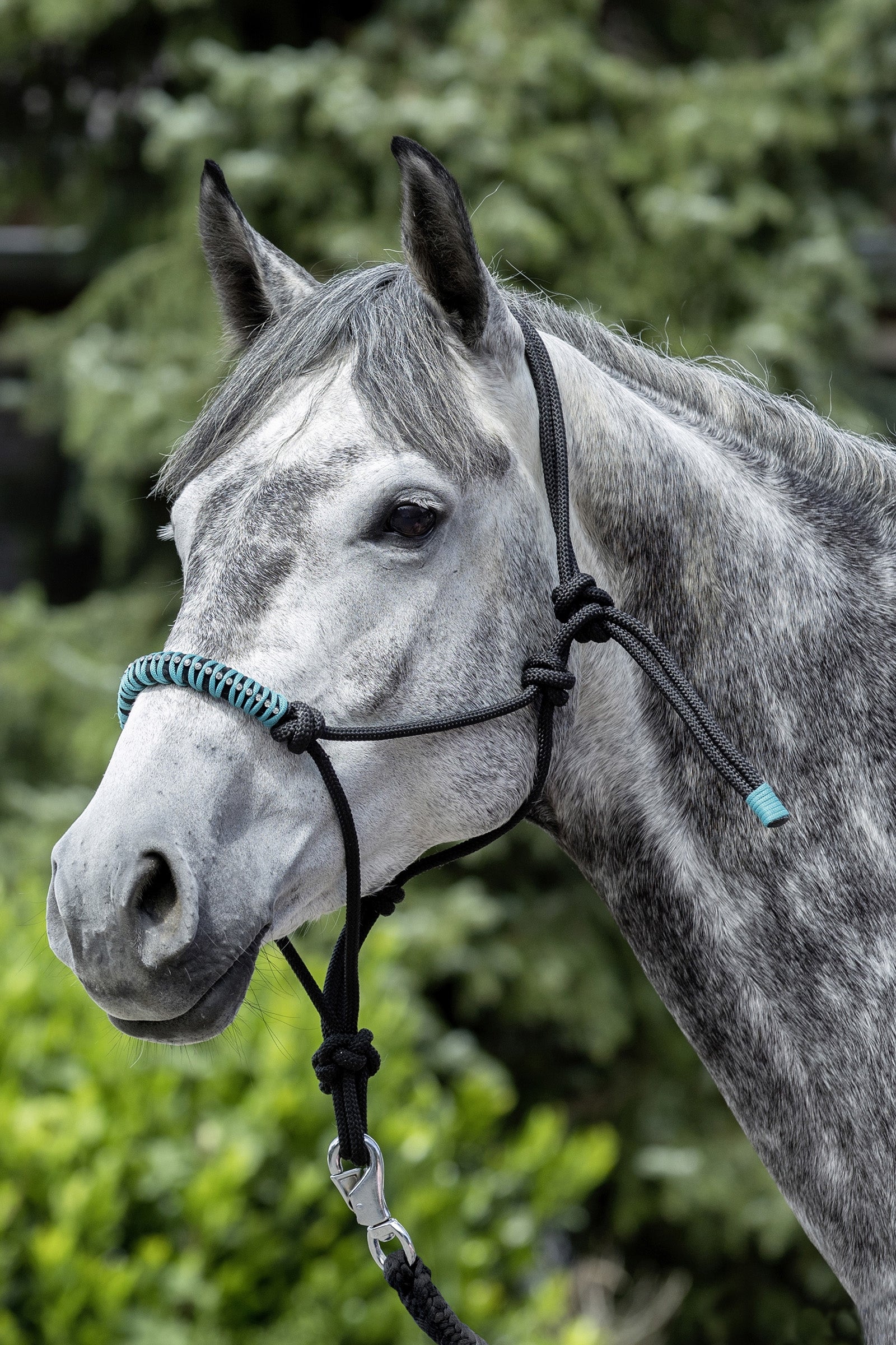 USG Knotenhalfter Halfter & Stricke