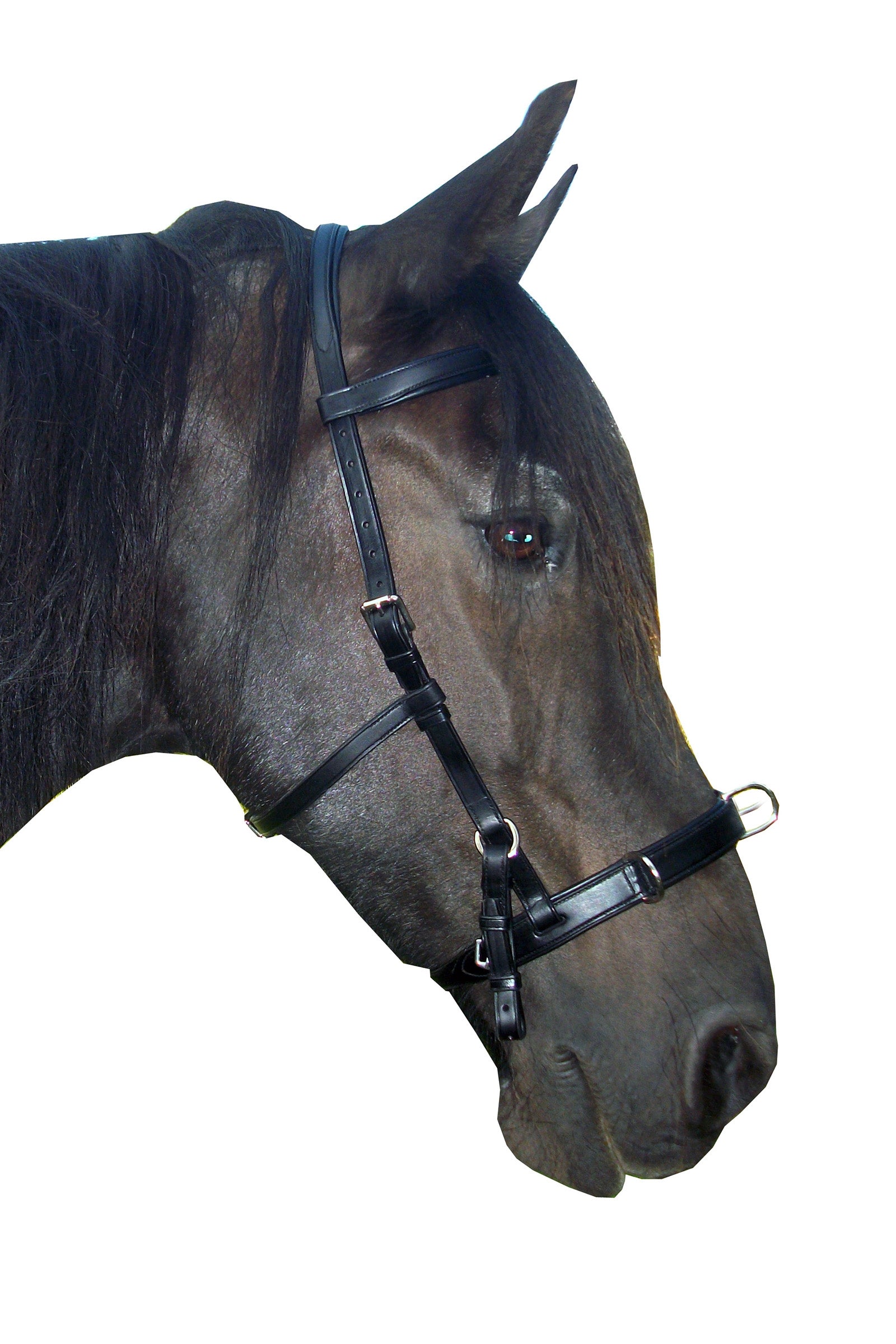F.R.A. Freedom Riding Articles Baro Cavesson, Leather Bridles & Reins