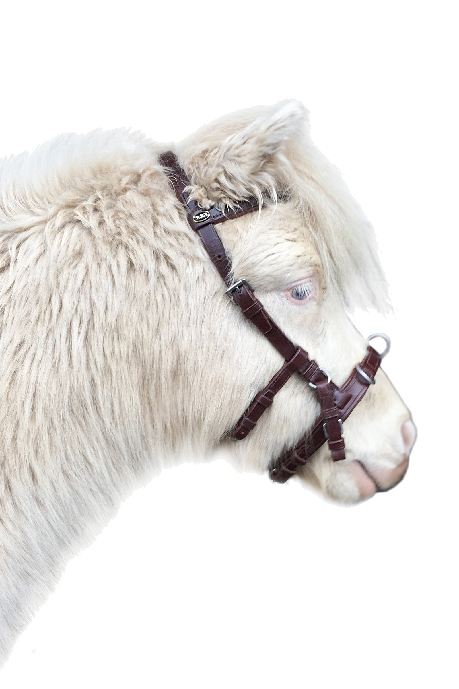 F.R.A. Freedom Riding Articles Baro Cavesson, Leather Bridles & Reins