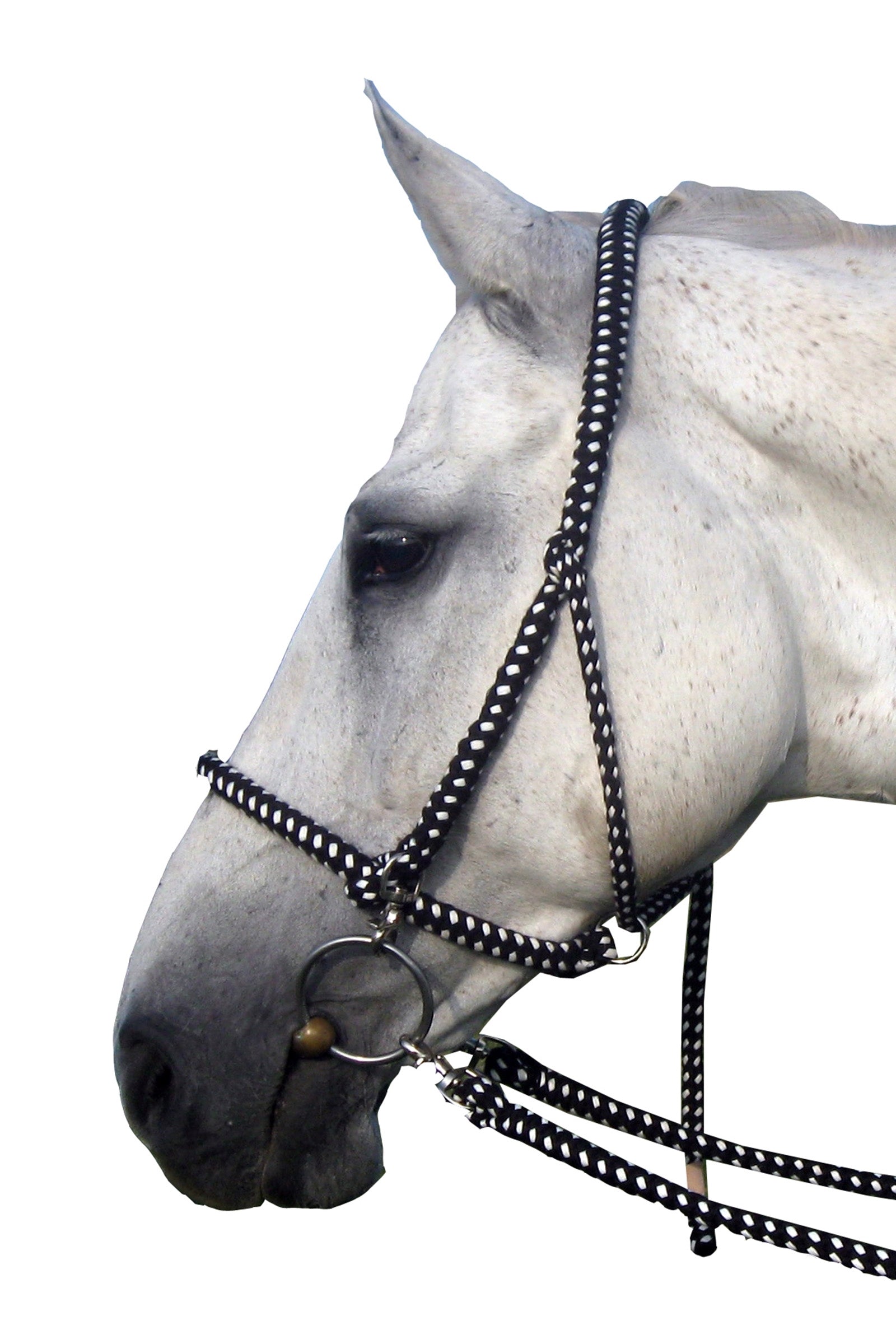 F.R.A. Freedom Riding Articles Gregor Halfter-Zaum mit Baumwollzügeln Halfter & Stricke