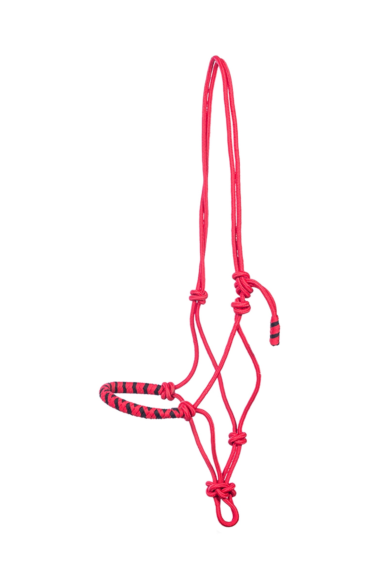 F.R.A. Freedom Riding Articles Jabar Traingingsseil, Halfter, 8 mm (System 3) mit geflochtenem Nasenriemen Halfter & Stricke