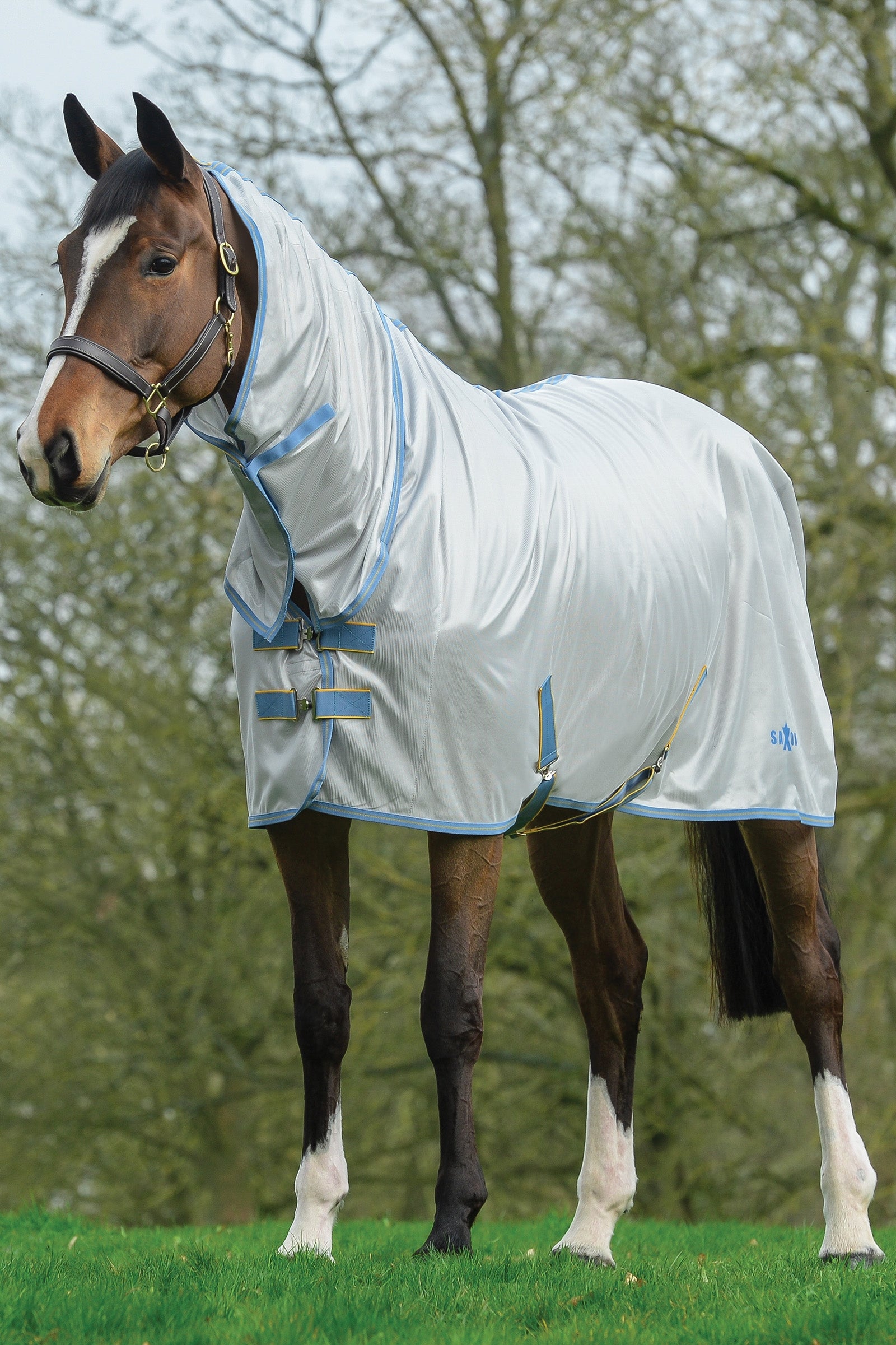 Saxon Mesh Combo Decke mit festem Halsteil Pferdedecken