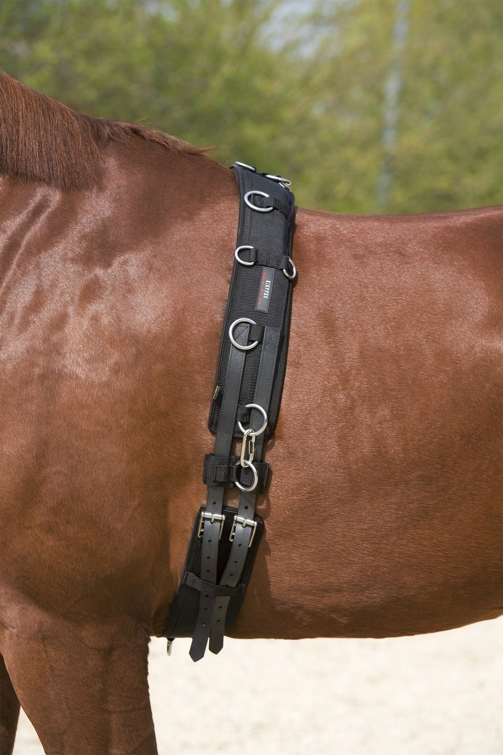 Kieffer Longiergurt Longieren & Bodenarbeit