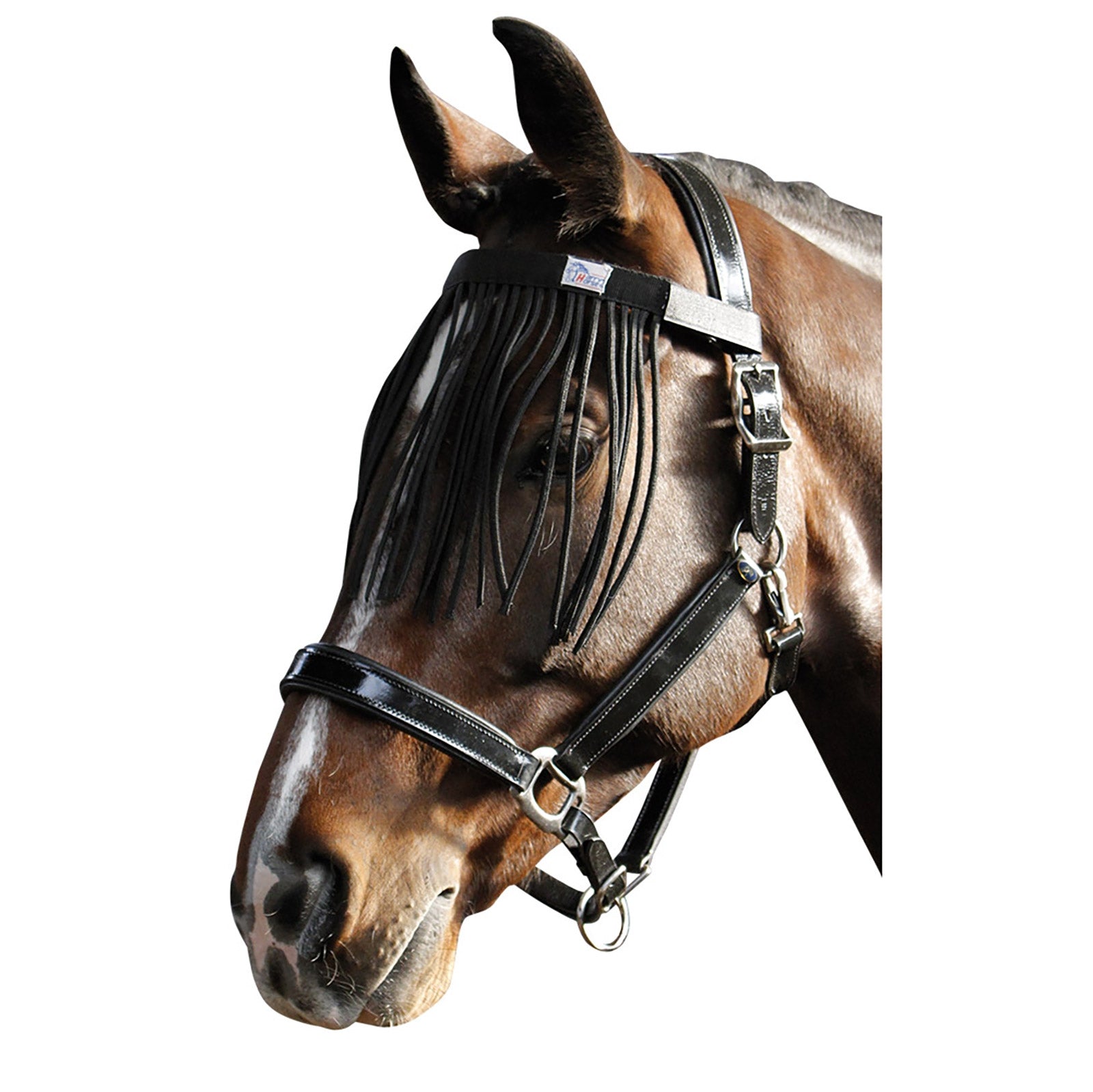 Harry's Horse Fliegenaugenschutzband Fliegenschutz