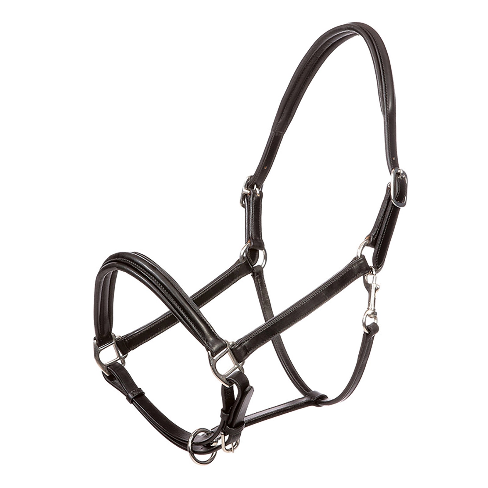 Kavalkade Lederhalfter Charming Halfter & Stricke