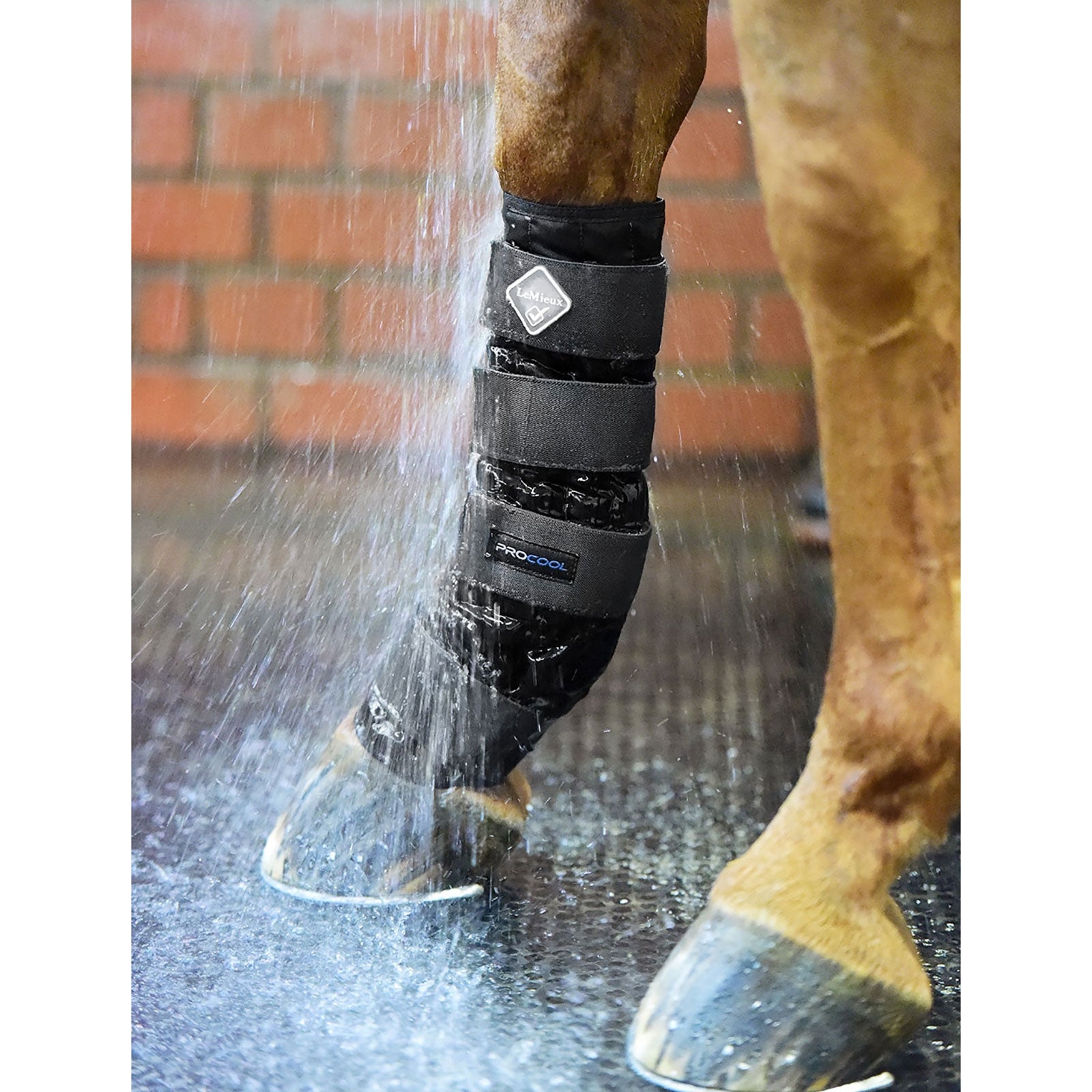 LeMieux Cold Water Kühlgamaschen Leg Protection & Hoof Protection for Horses