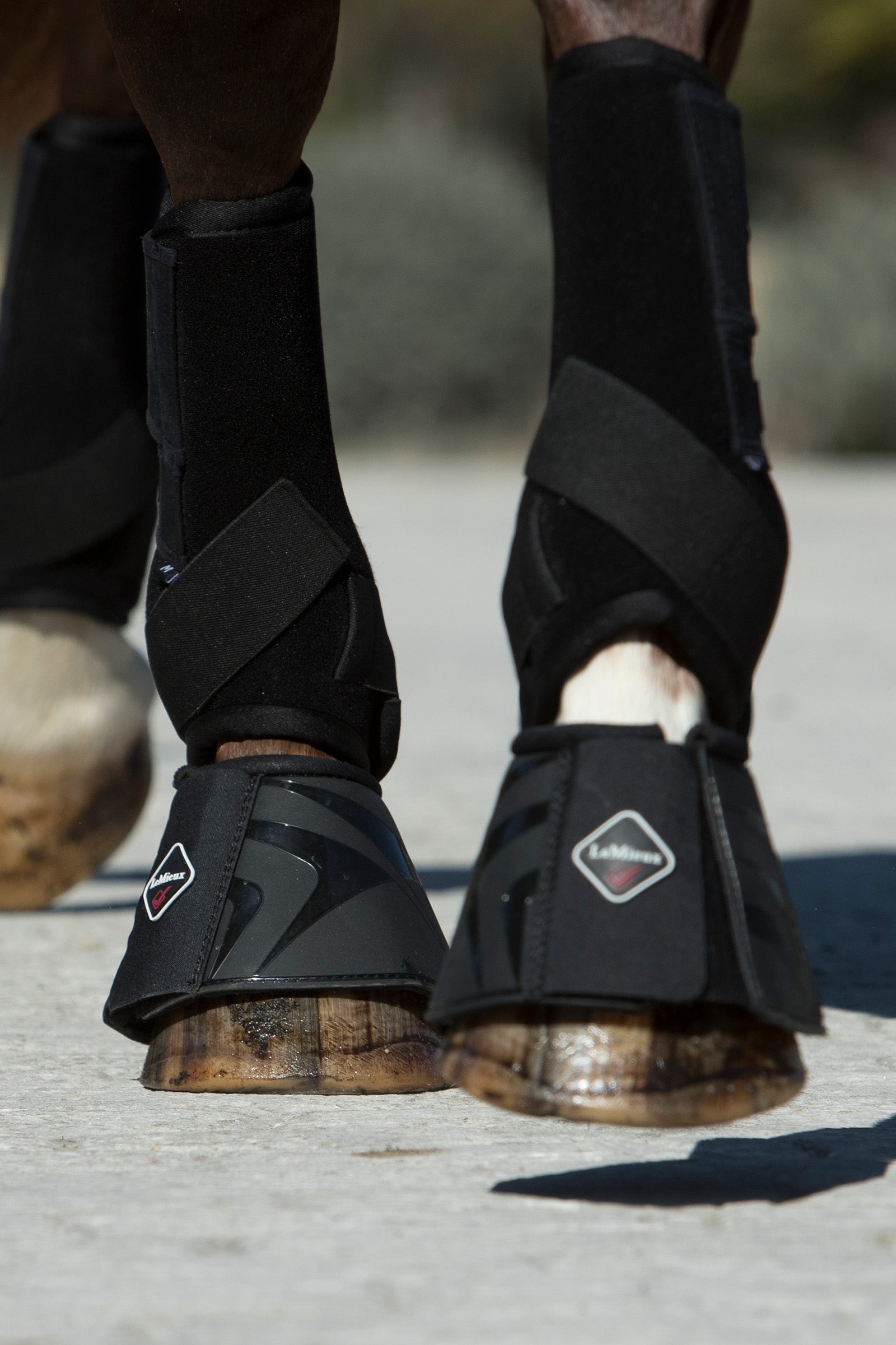 LeMieux ProShell Hufglocken Leg Protection & Hoof Protection for Horses