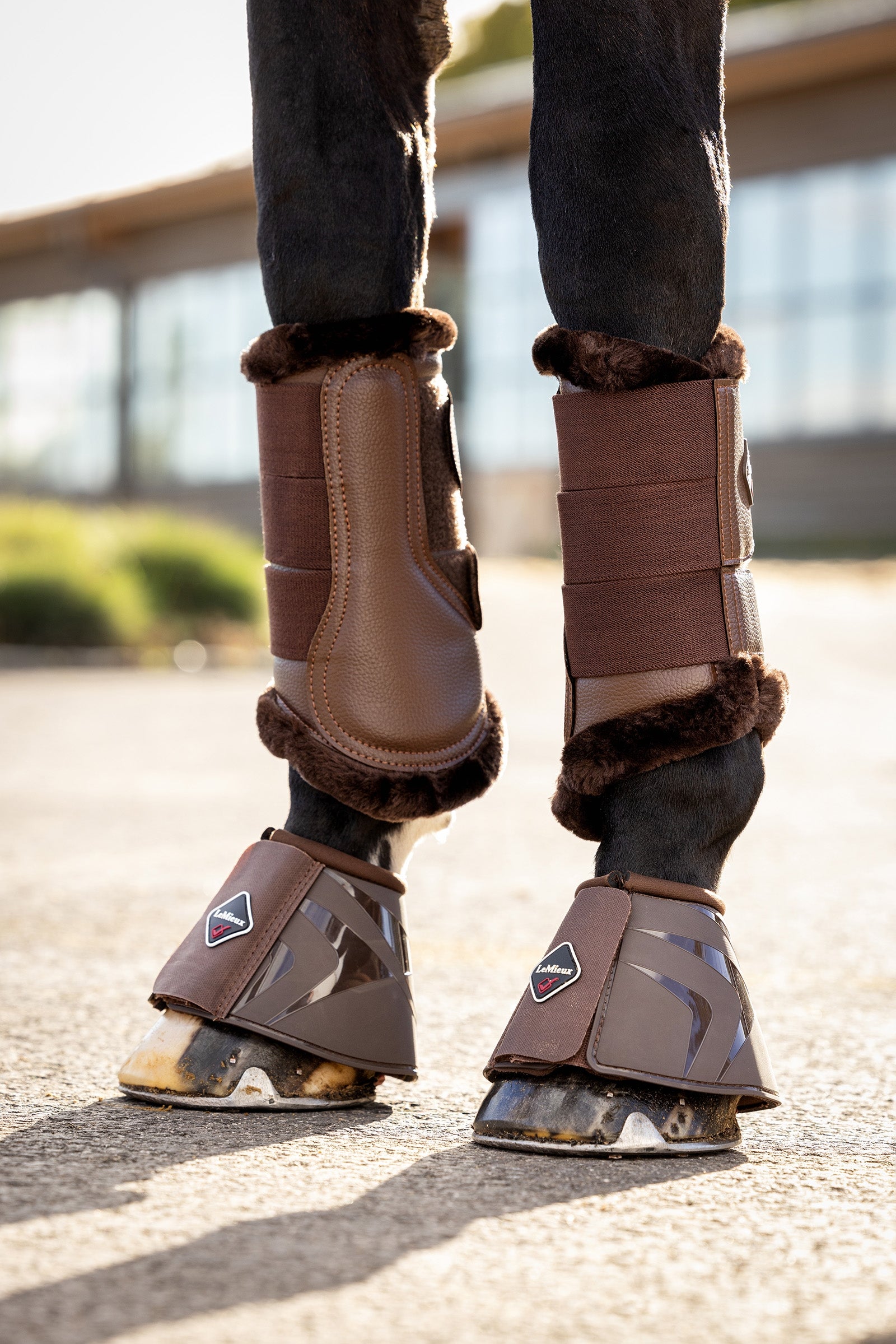 LeMieux ProShell Hufglocken Leg Protection & Hoof Protection for Horses