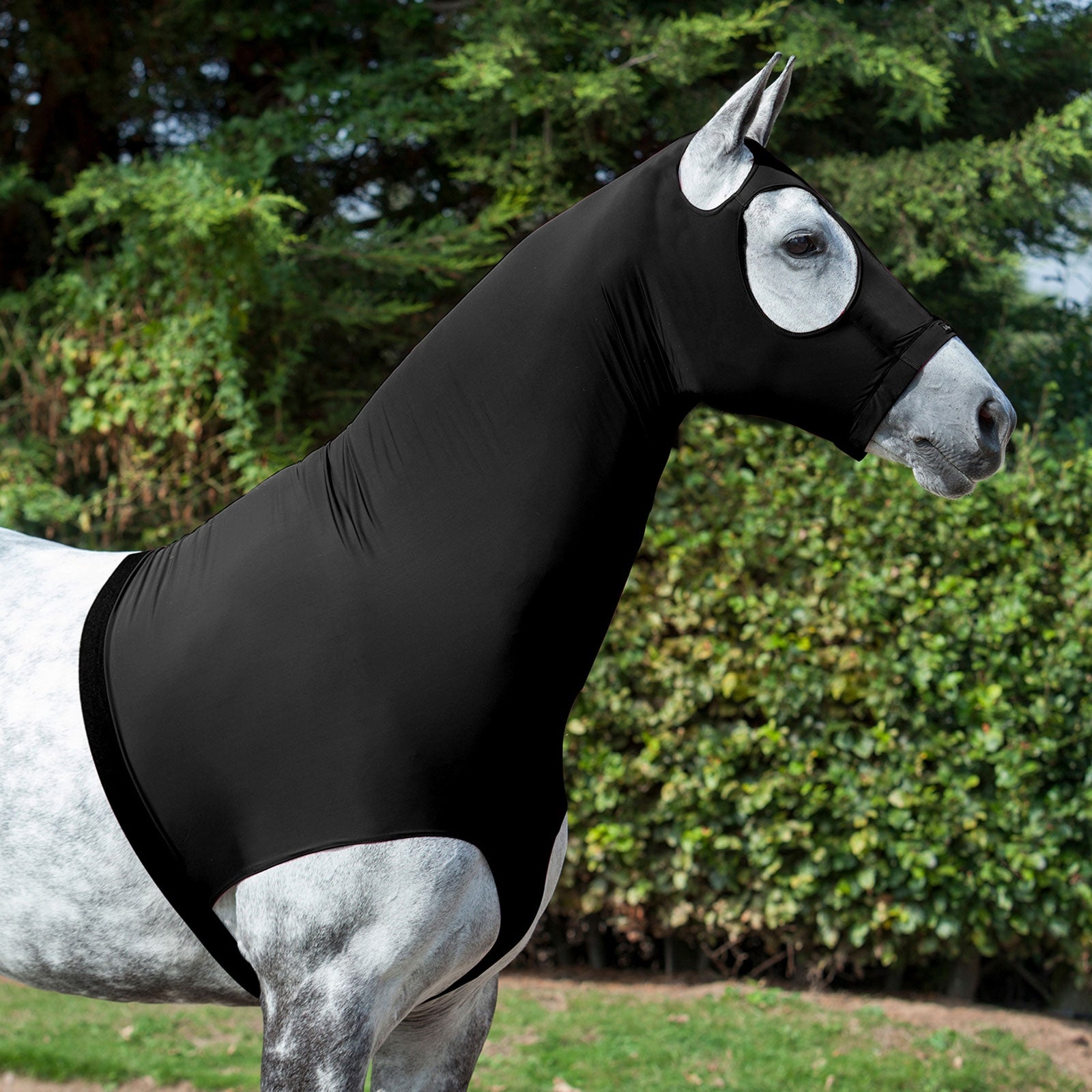 LeMieux Lycra Hauben Pferdedecken