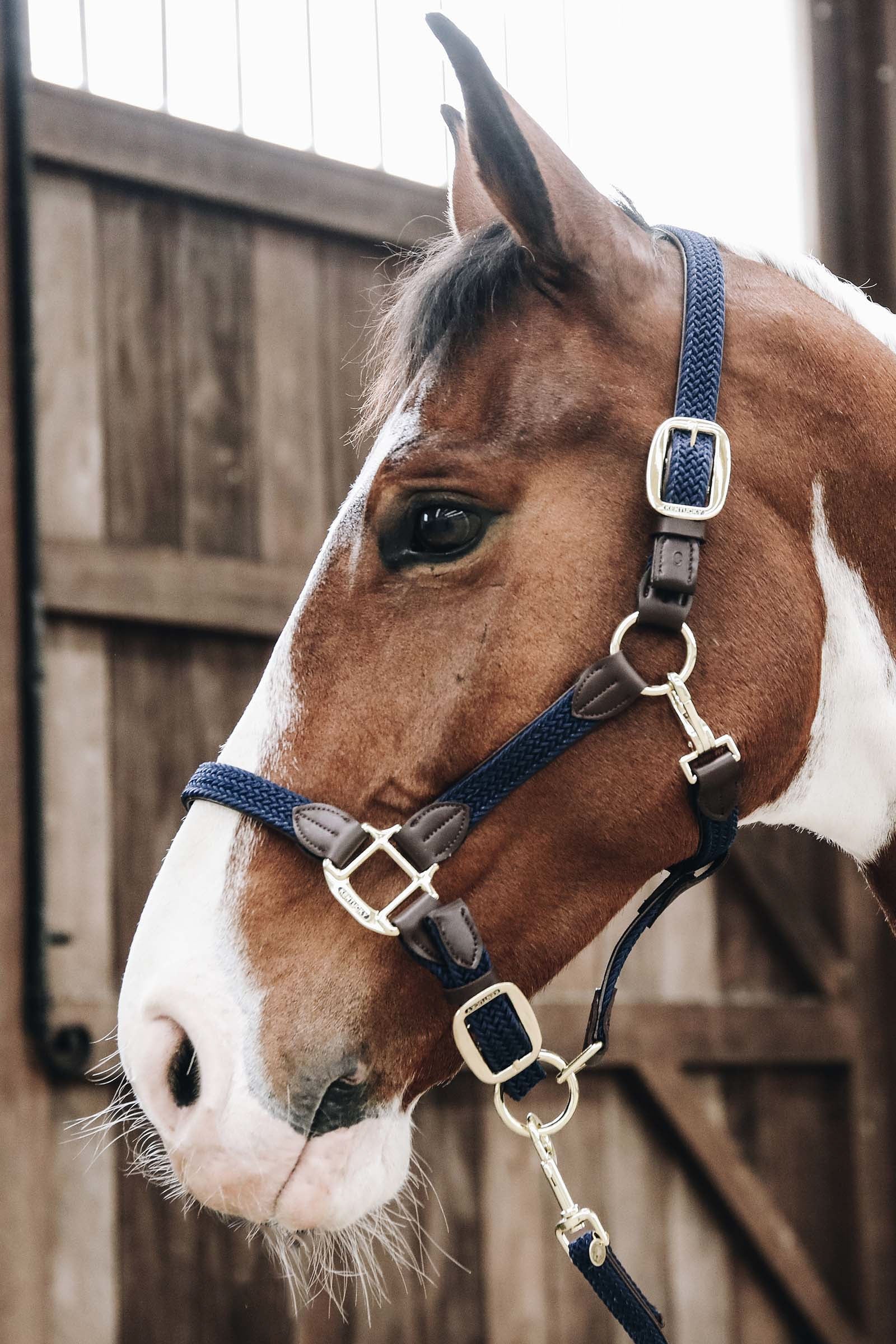 Kentucky Horsewear Kentucky Plaited Nylon Halter Halters & Leads