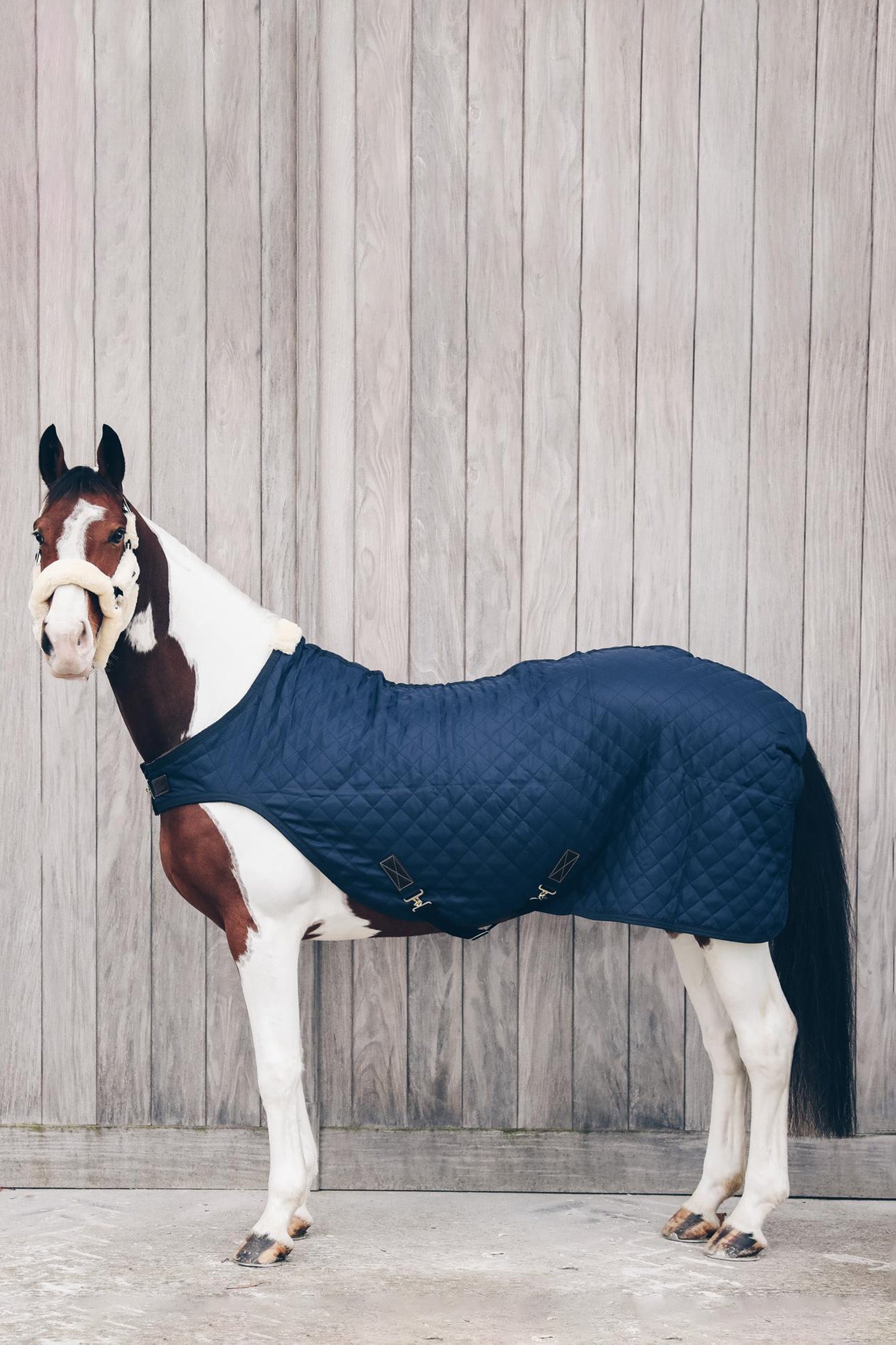 Kentucky Horsewear Führanlagendecke, 160g Pferdedecken