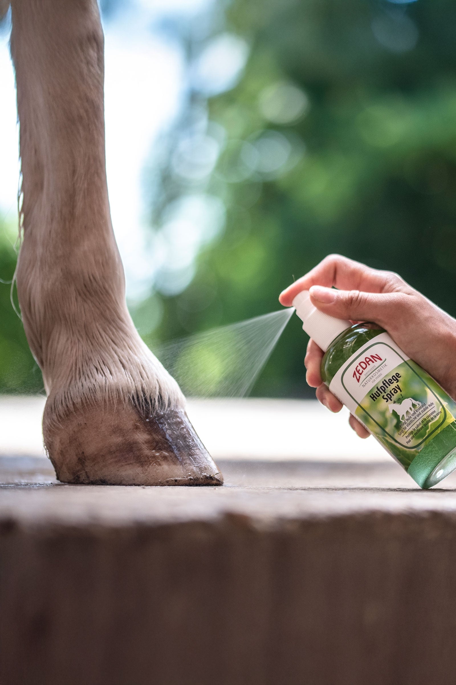 Zedan Hoof Care Spray 4 in 1, 275ml Horse Health Care