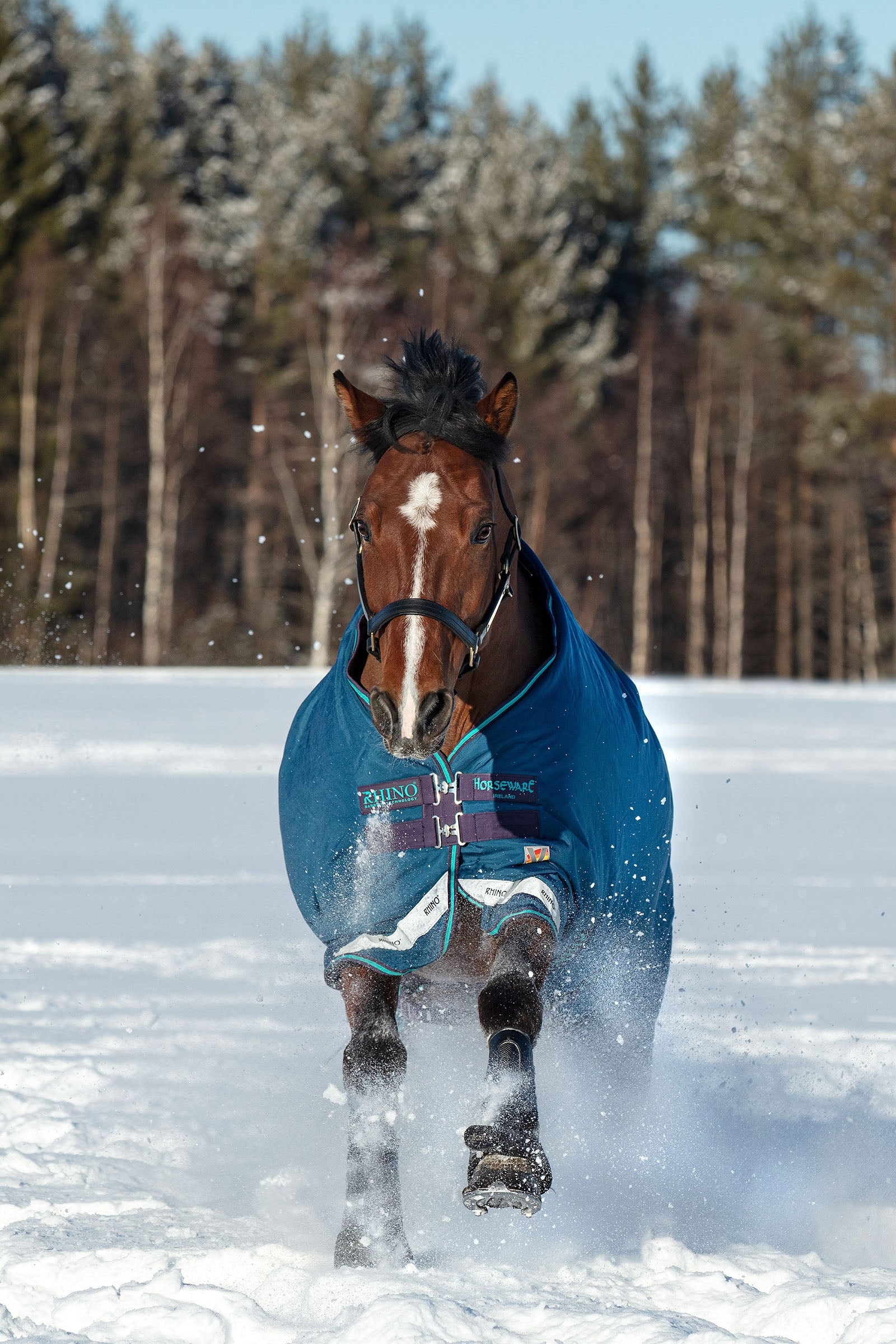Horseware Rhino Original Vari-Layer Turnout Rug, 250g Horse Rugs