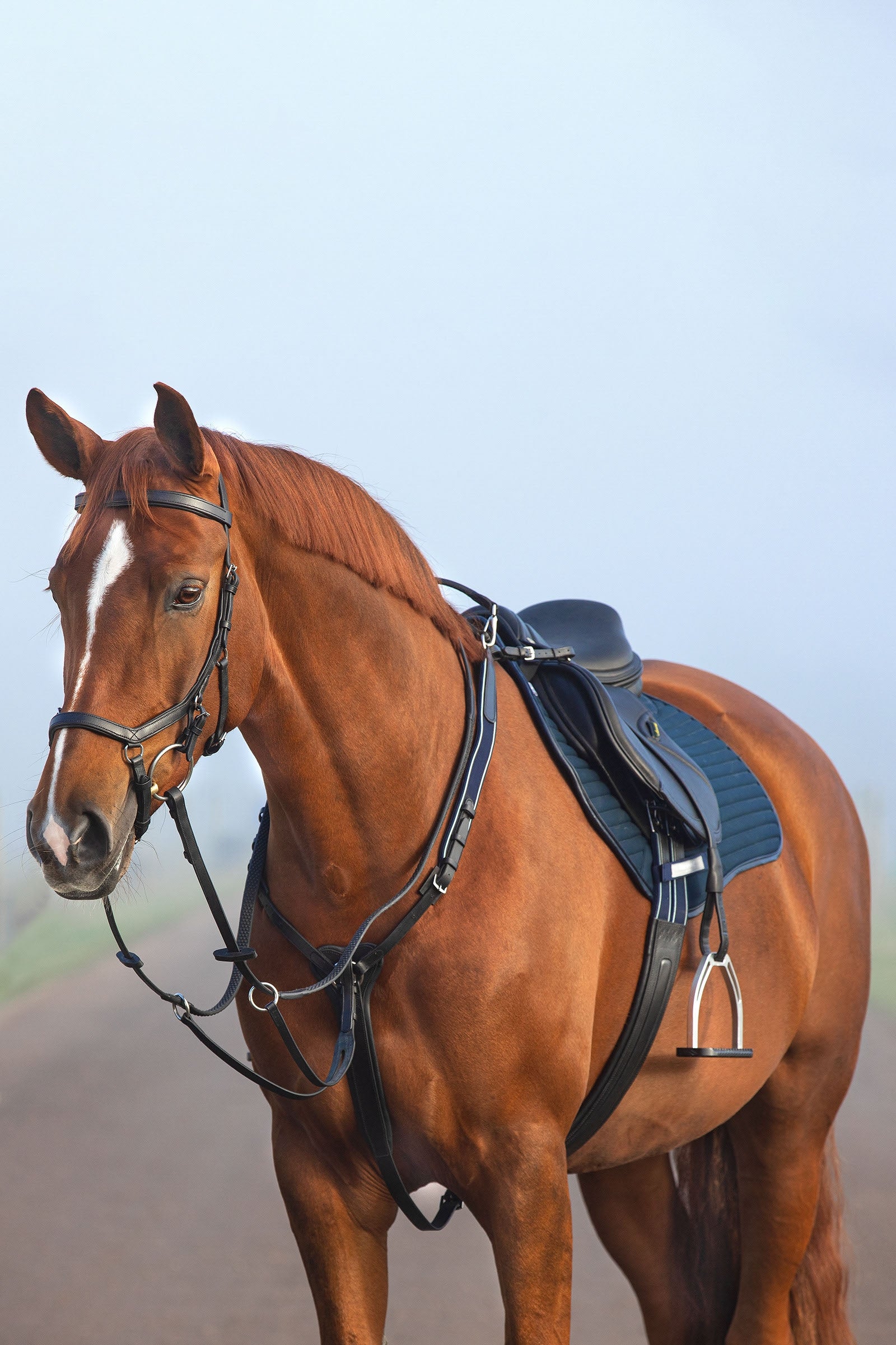 Horseware Rambo Micklem Breastplate Bridles & Reins