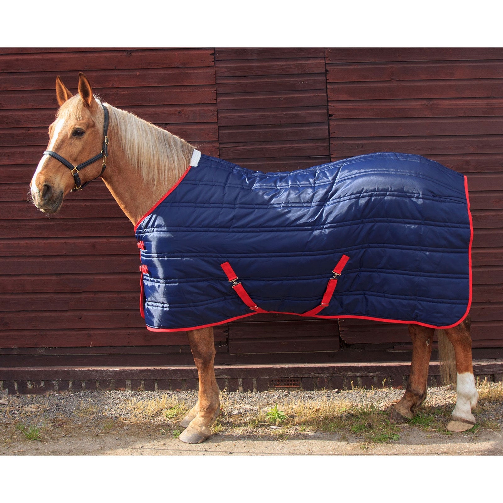 John Whitaker JW Thomas 250g Stalldecke Pferdedecken