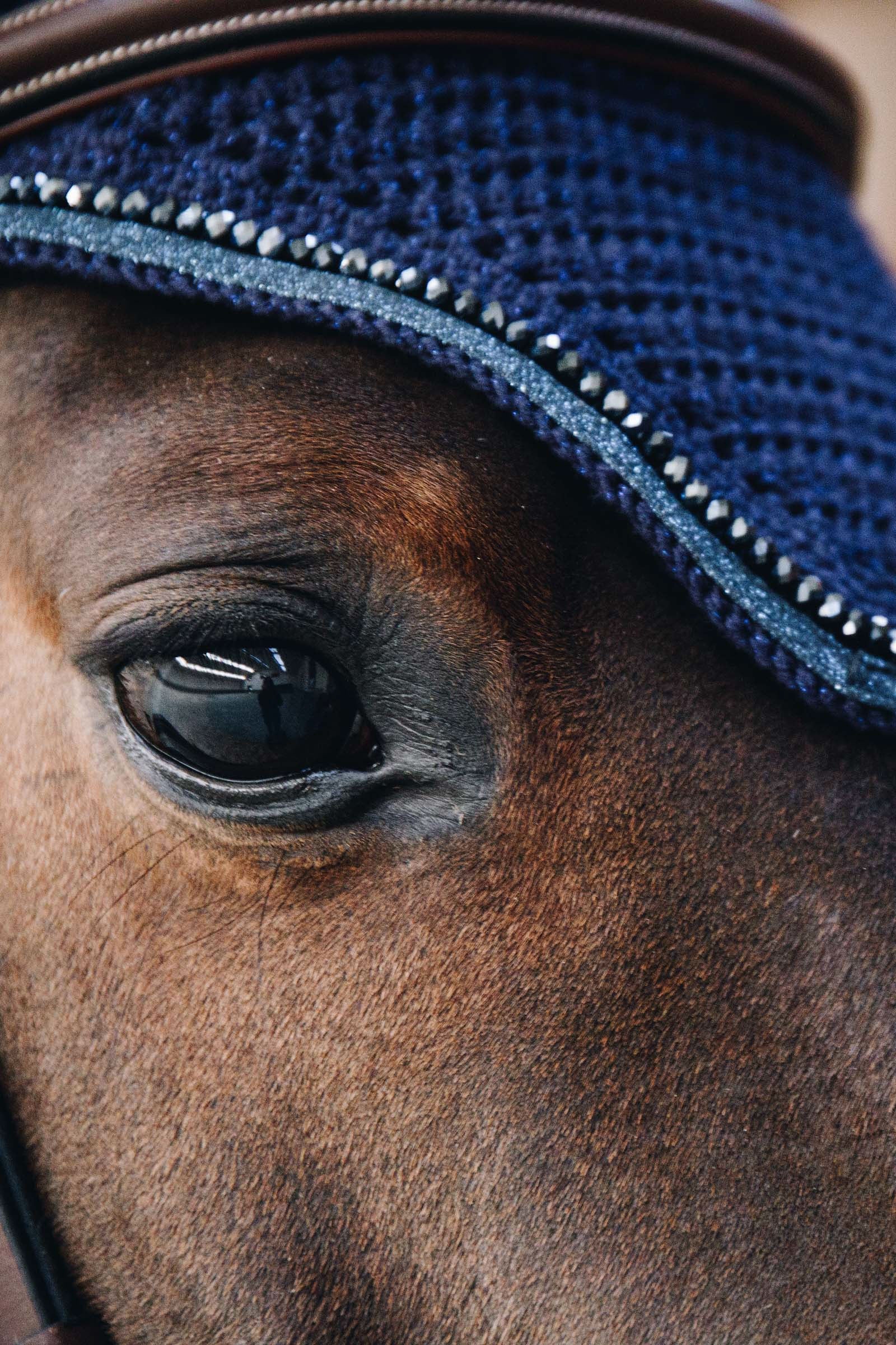 Kentucky Horsewear Wellington Glitter Fly Veil Saddle Pads