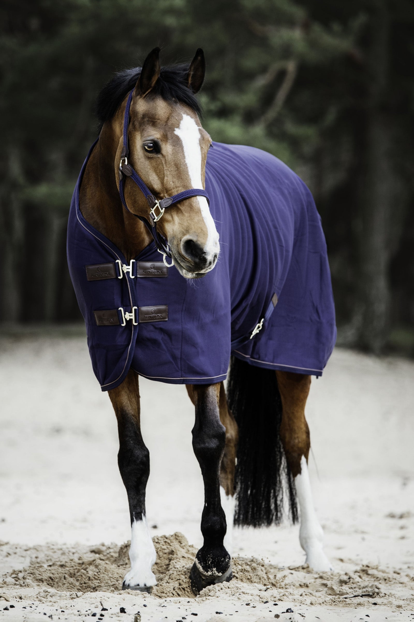 Kentucky Horsewear Fleece Abschwitzdecke Pferdedecken