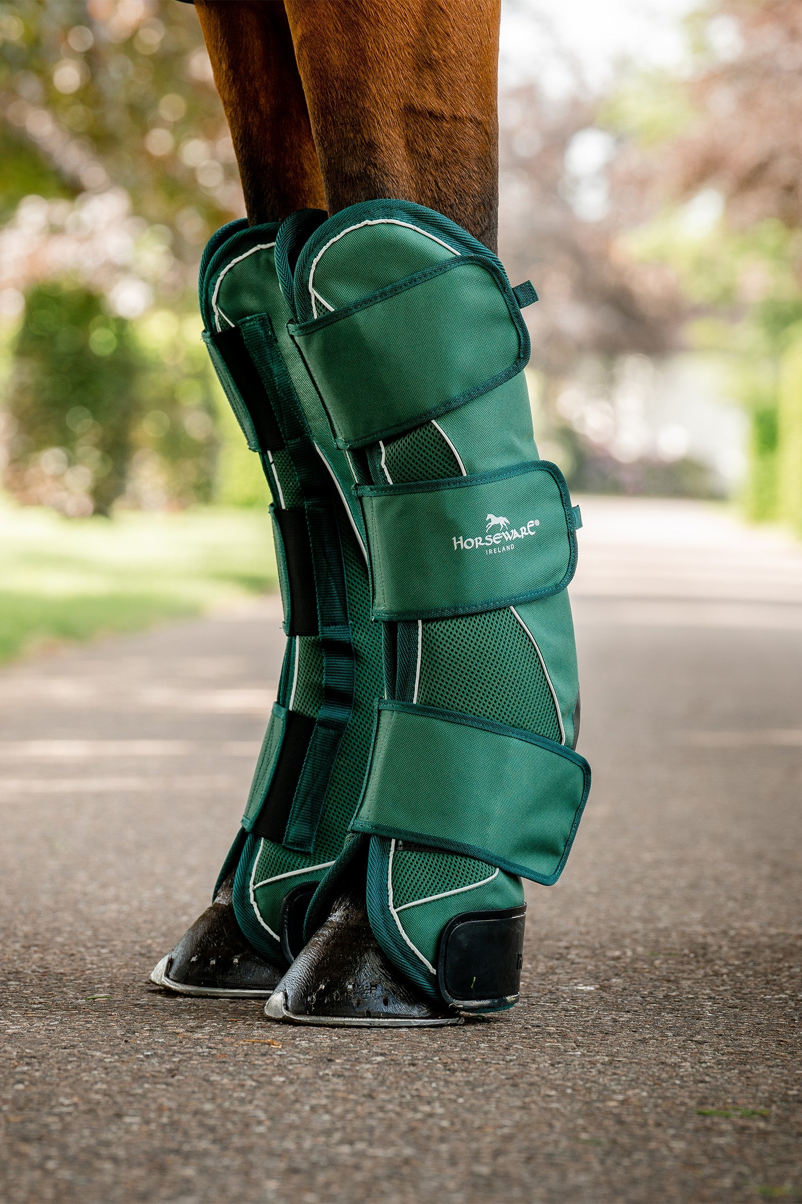 Horseware Signature Travel Boots Leg Protection & Hoof Protection for Horses