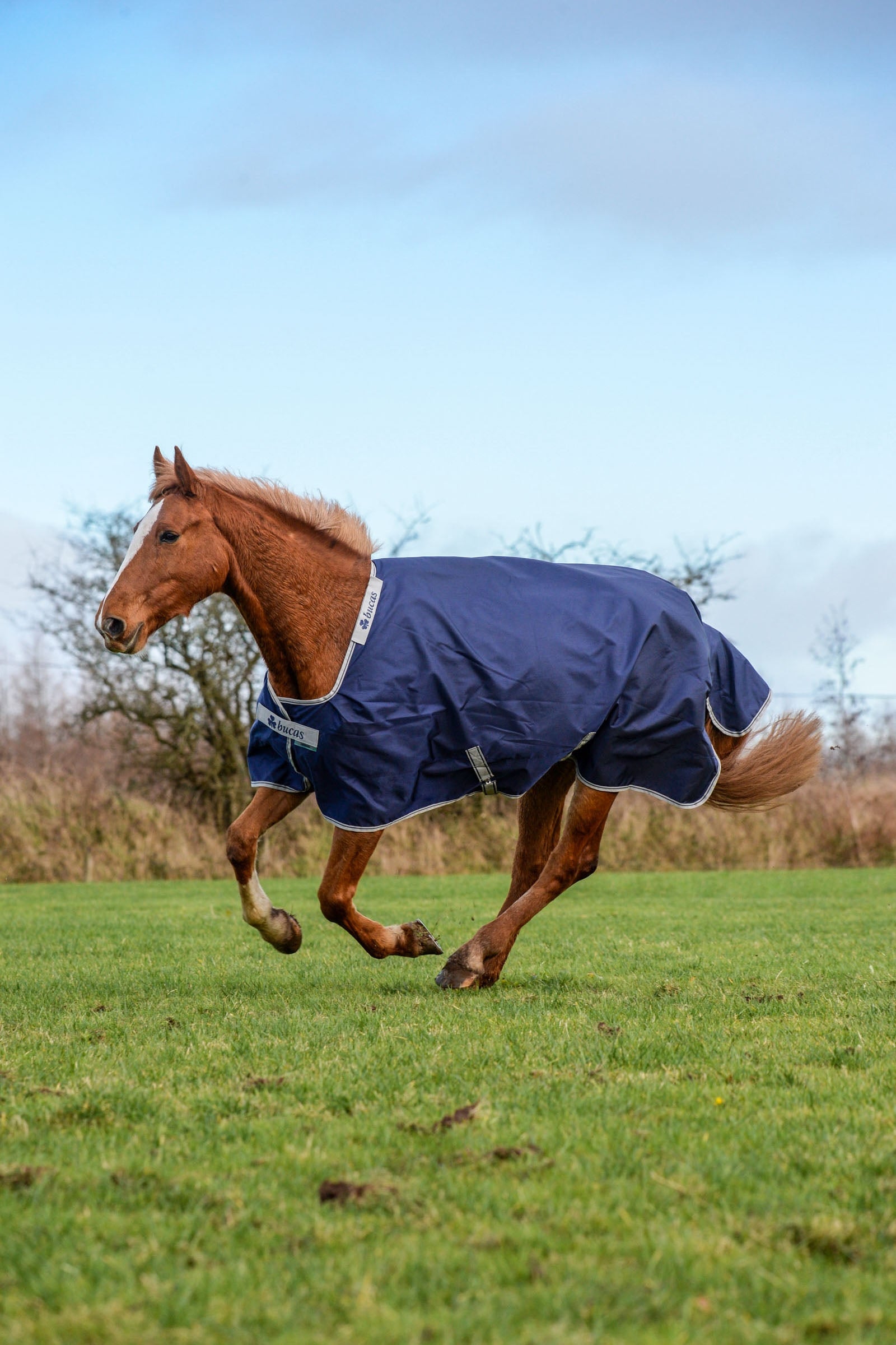 Bucas Atlantic Turnout Winterdecke, 400g Pferdedecken