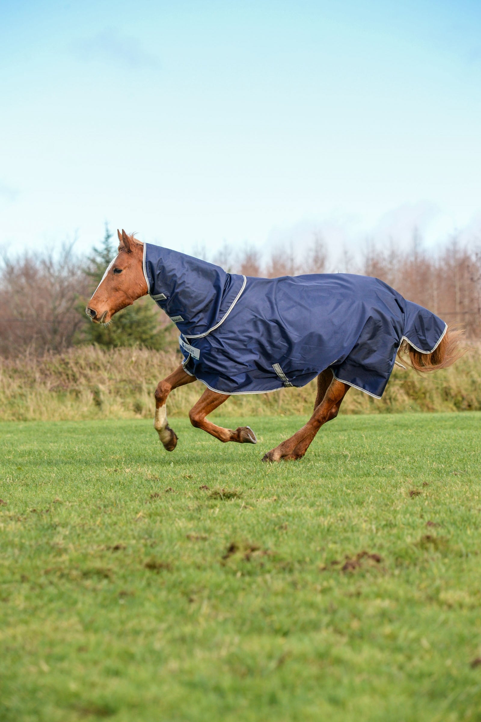 Bucas Atlantic Turnout Rug, 50g Horse Rugs