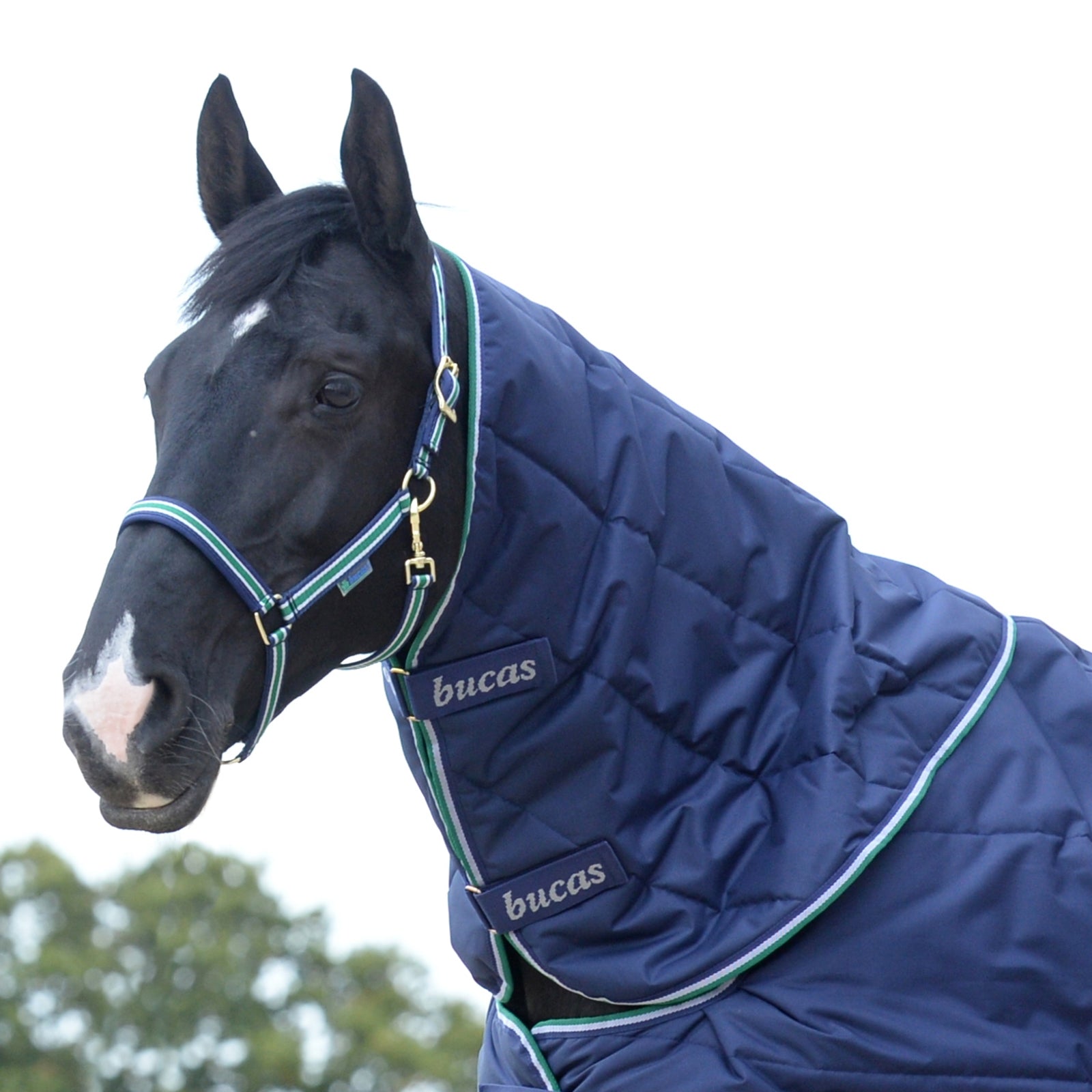 Bucas Quilt Halsteil Pferdedecken