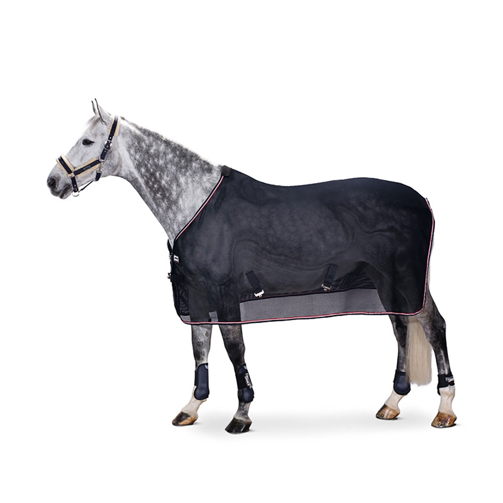 Eskadron Mesh Dura Fliegendecke Pferdedecken