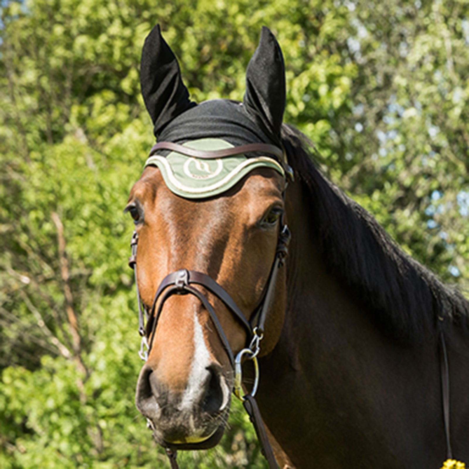Back on Track Nights Collection Horse Bonnet With Welltex® Saddle Pads
