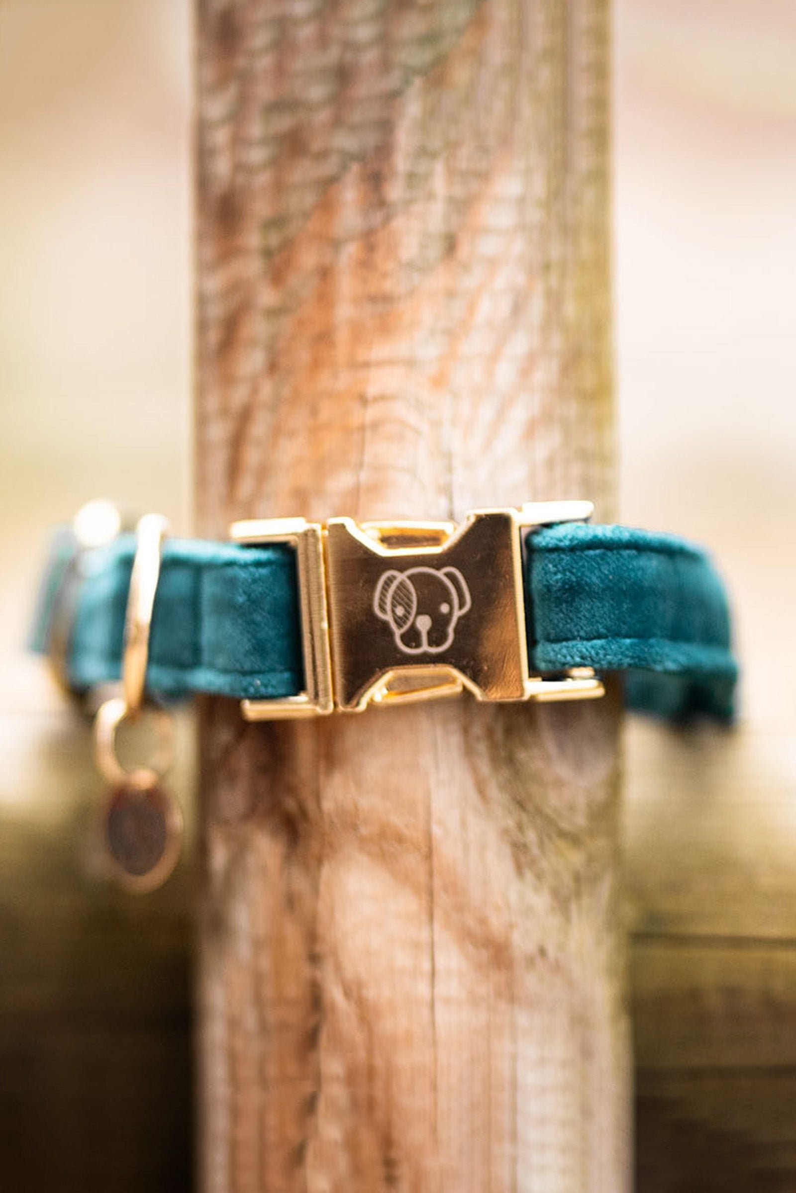 Kentucky Dogwear Dog Collar Velvet Dog Accesories