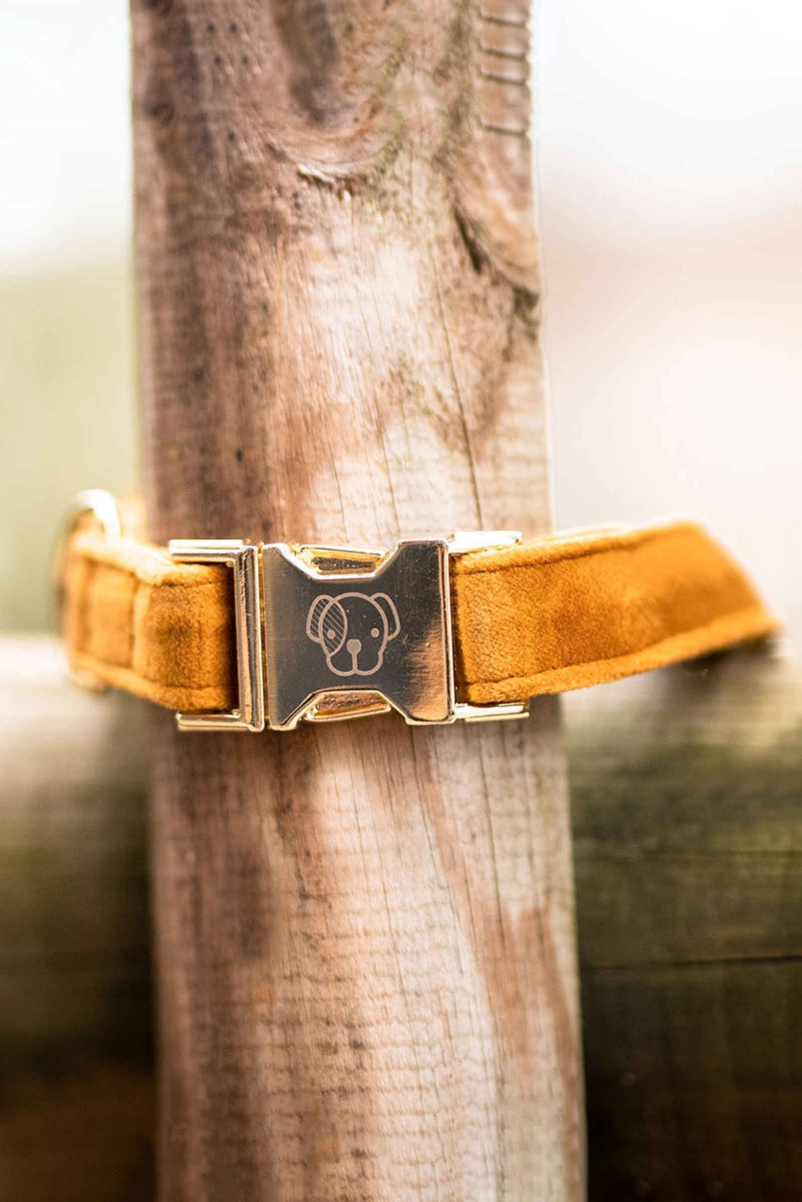 Kentucky Dogwear Dog Collar Velvet Dog Accesories