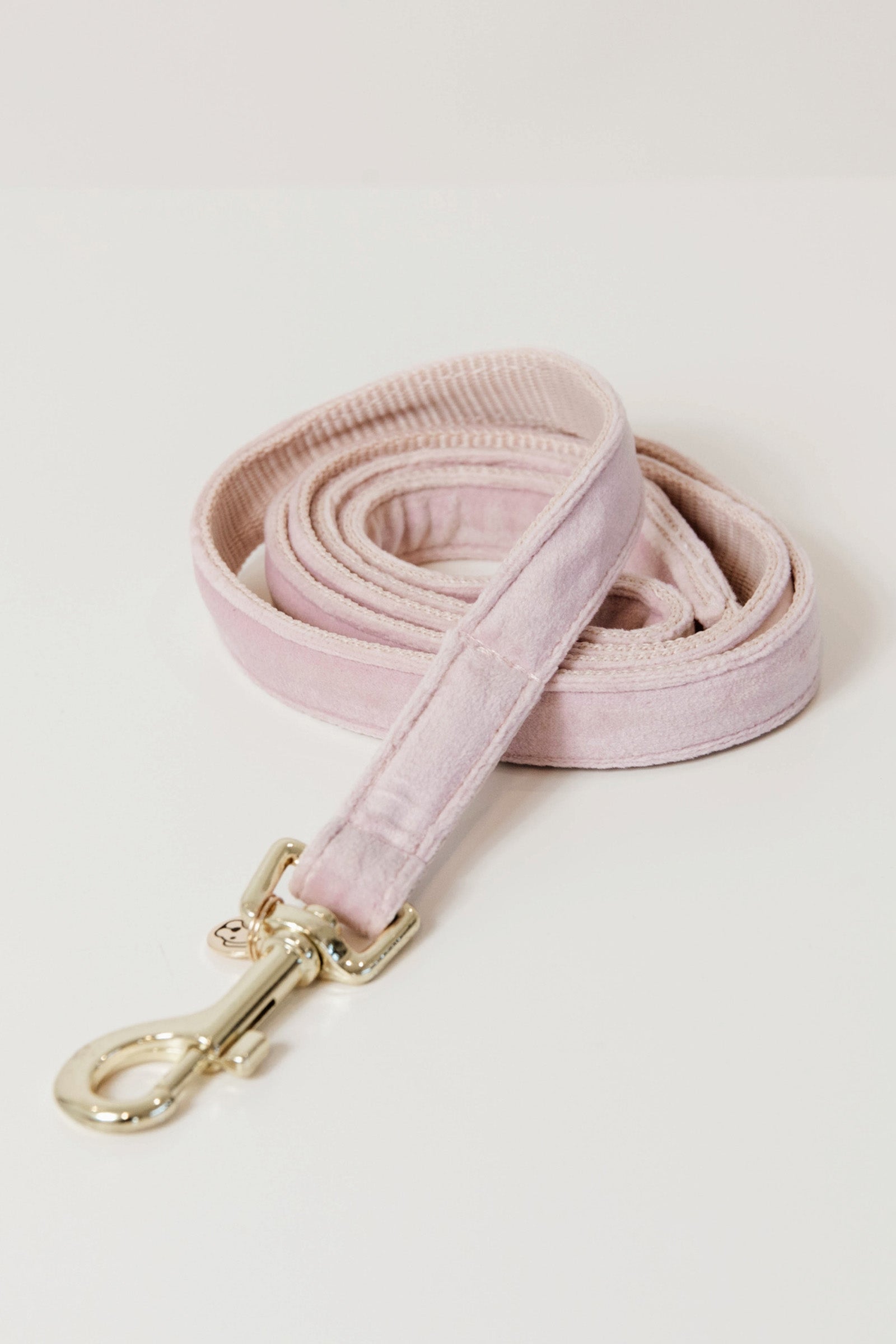 Kentucky Dogwear Hundeleine Velvet Hund