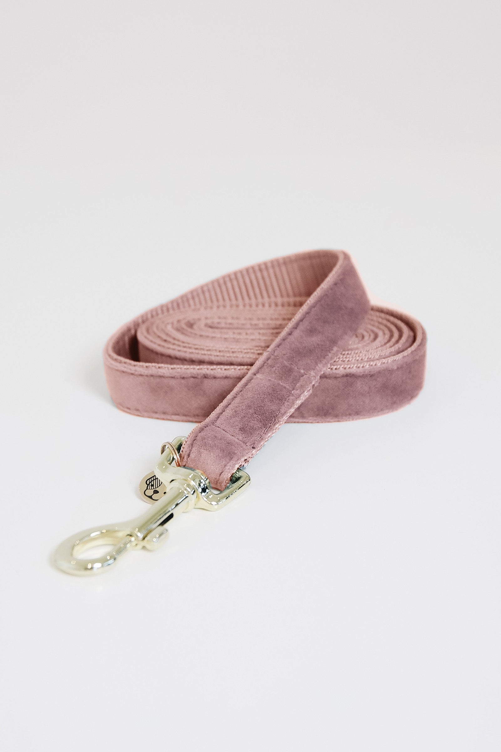 Kentucky Dogwear Hundeleine Velvet Hund