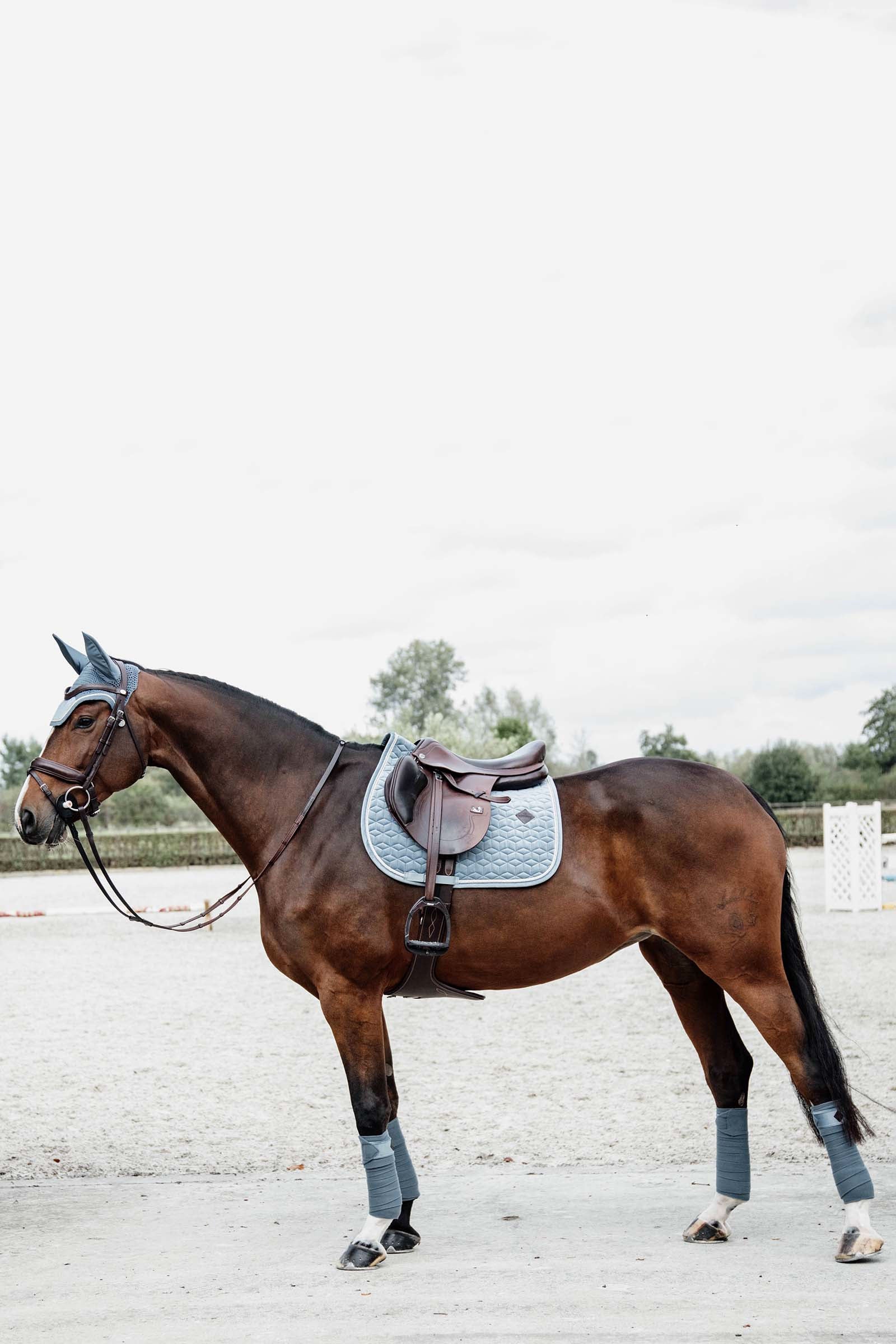 Kentucky Horsewear Velvet Jumping Saddle Pad Saddle Pads