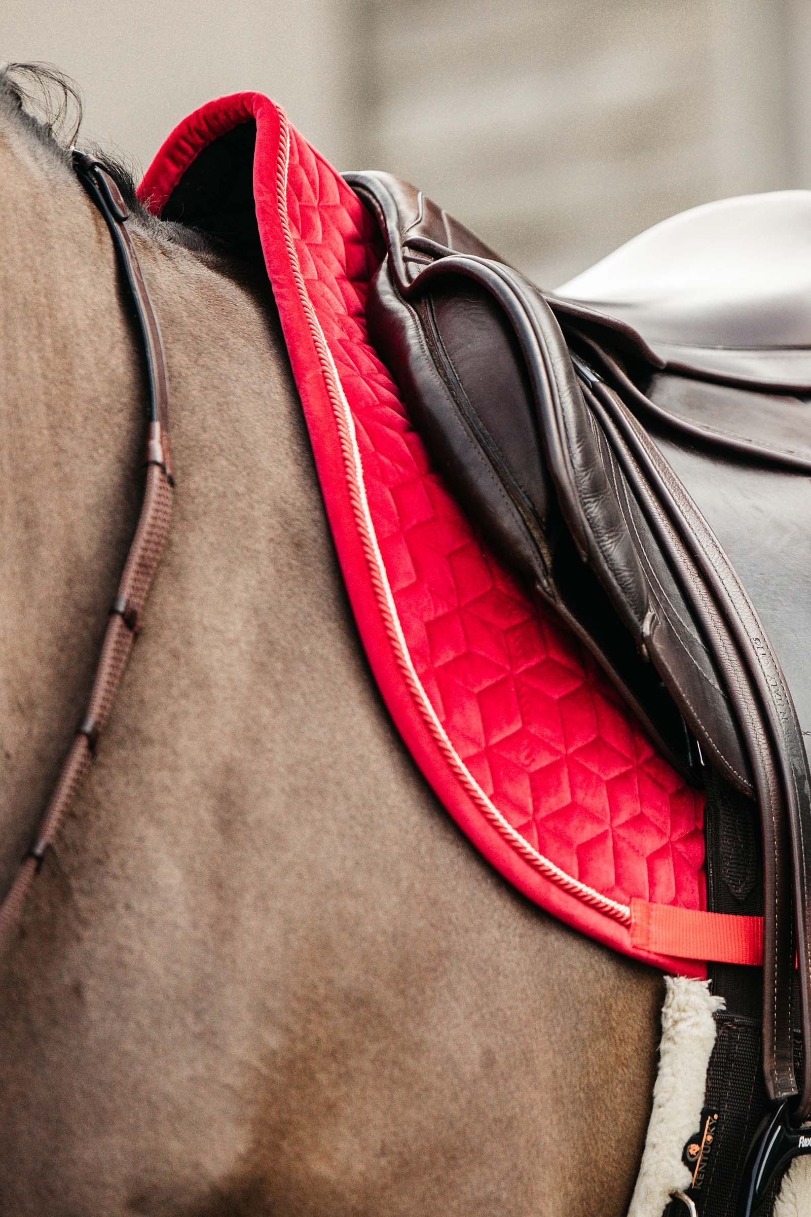 Kentucky Horsewear Velvet Jumping Saddle Pad Saddle Pads