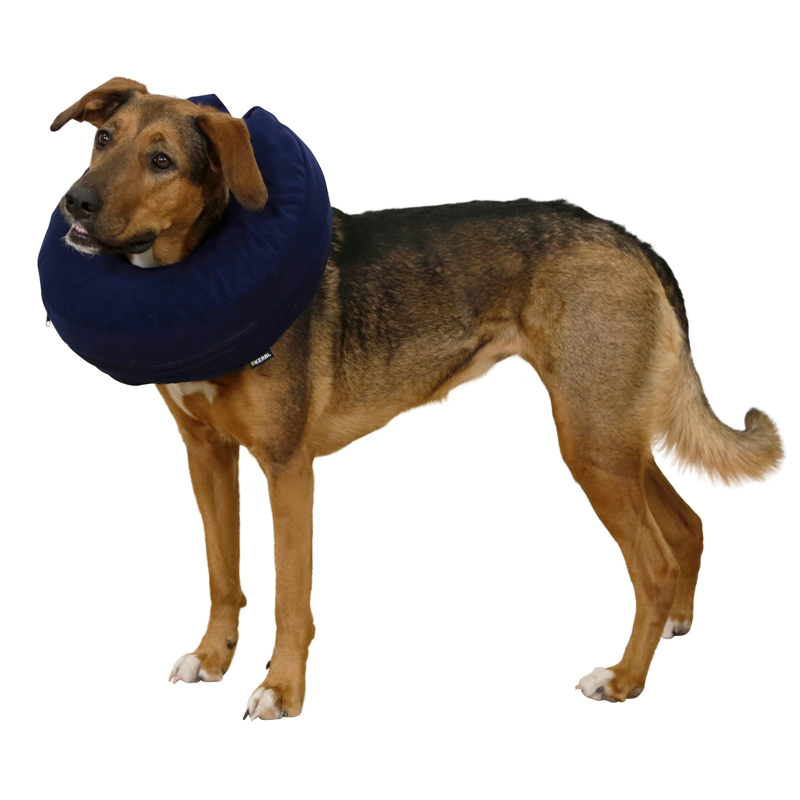 futternapf PETKIT Nano-Metall Futternapf main image 1