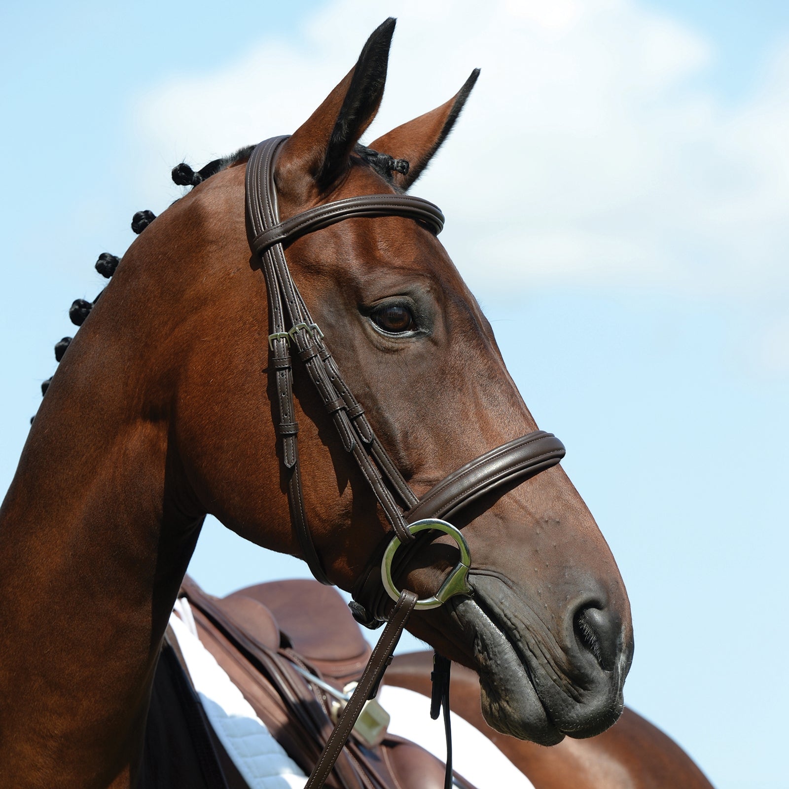 Collegiate Syntovia+ Padded Raised Cavesson Bridle Trensenzäume & Zügel