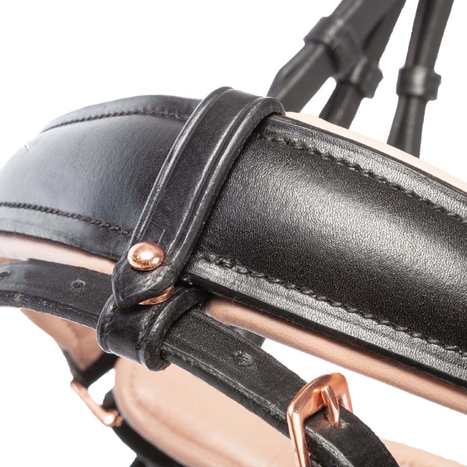 Kavalkade Bridle Rose Bridles & Reins