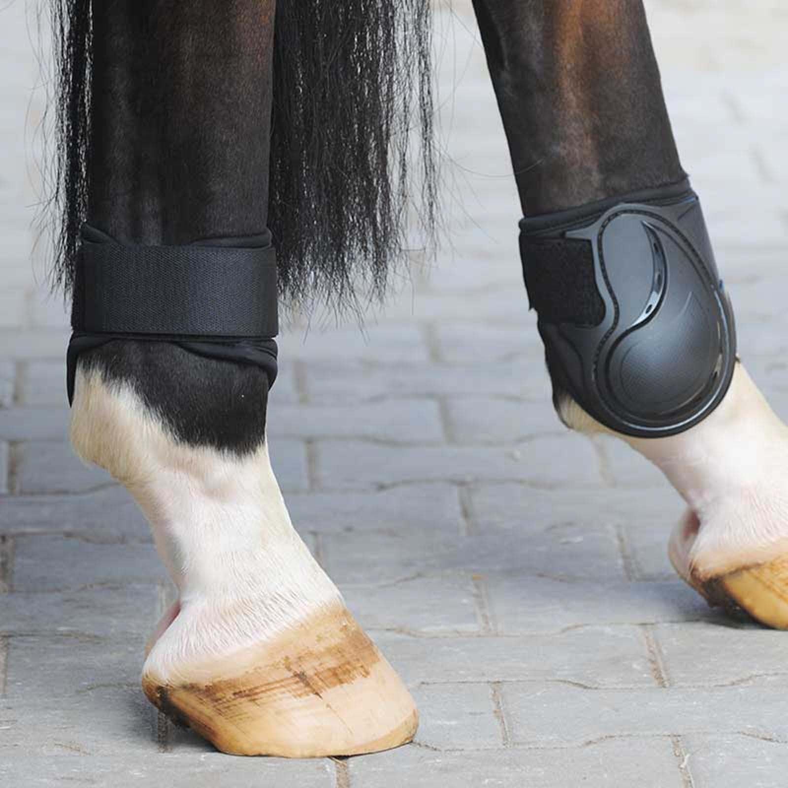 Kavalkade Hartschalen-Streichkappen Compete Leg Protection & Hoof Protection for Horses