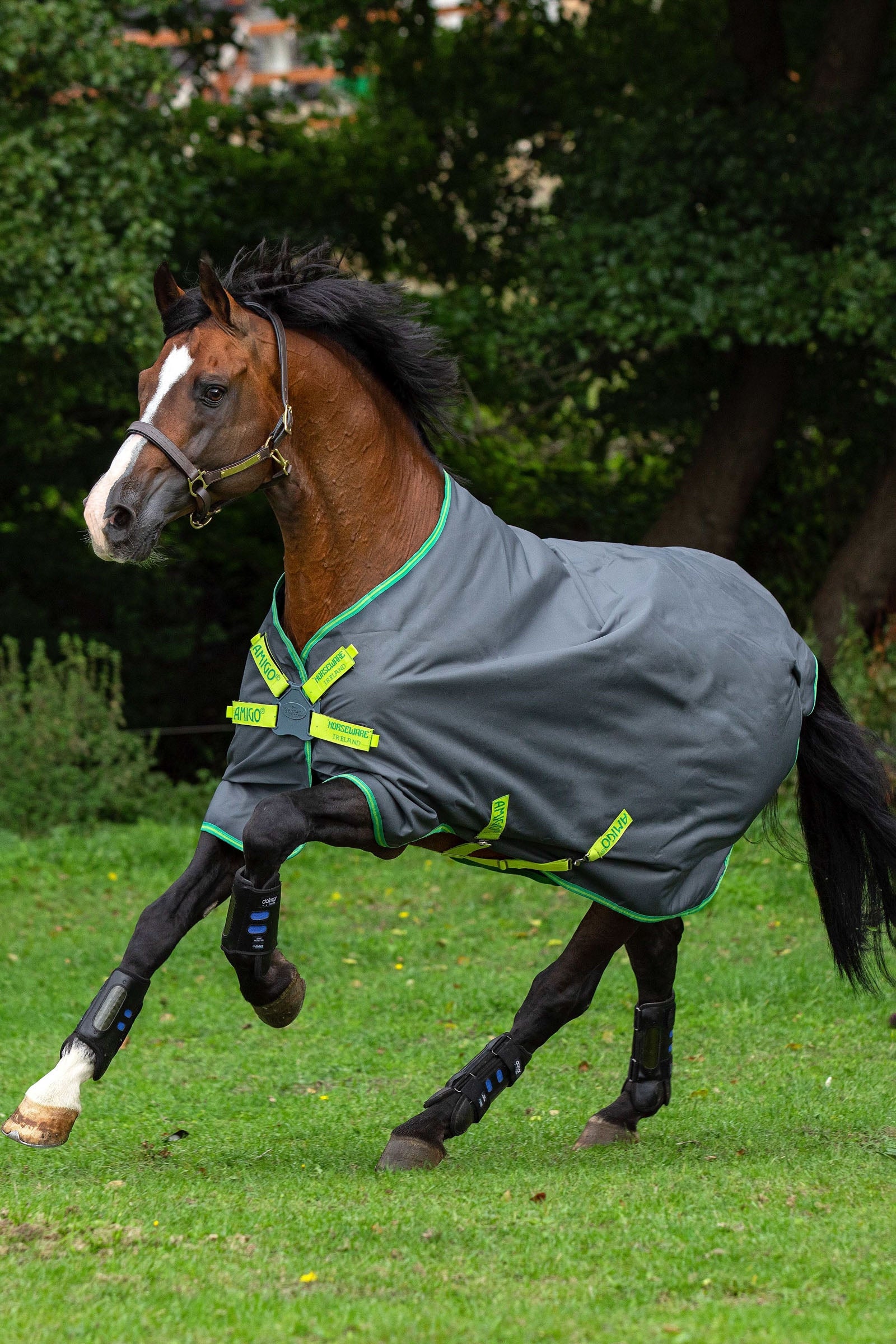 Horseware Amigo Hero 900 Lite Disc Regendecke, 0g Pferdedecken