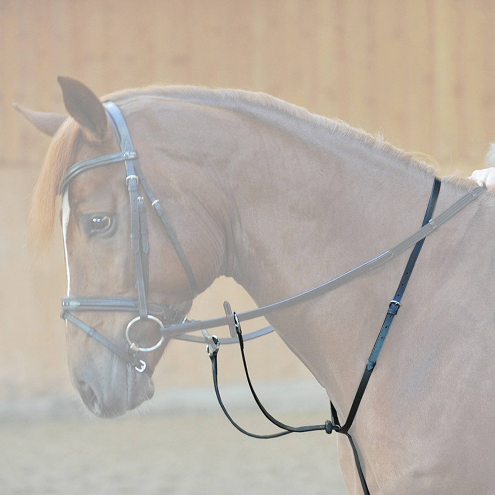 Kavalkade Ecoline Martingal with Stoppers Bridles & Reins