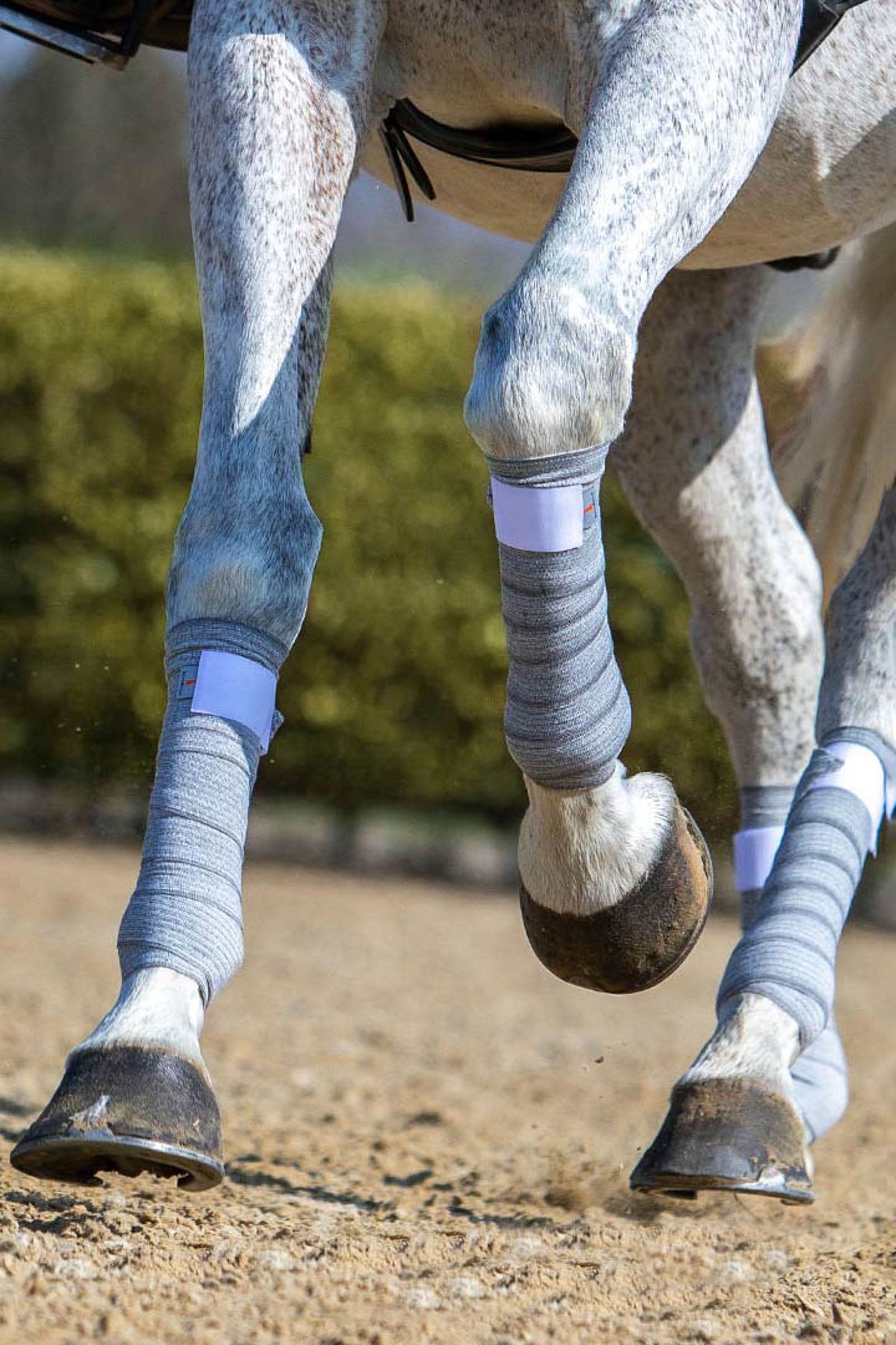 Incrediwear Circulation Bandages (9cm) Leg Protection & Hoof Protection for Horses