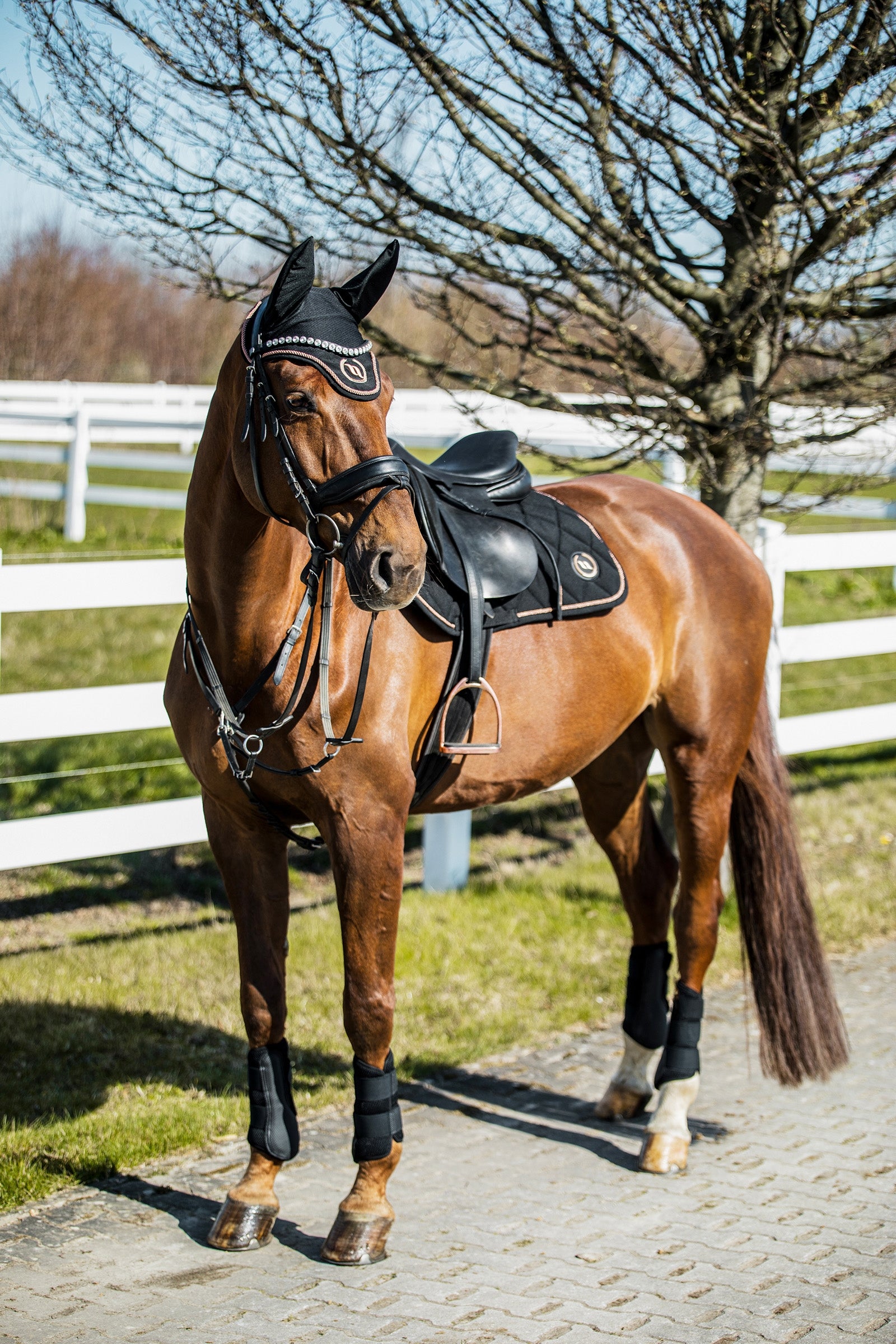 Back on Track Haze Collection Saddle Pad Jumping Saddle Pads