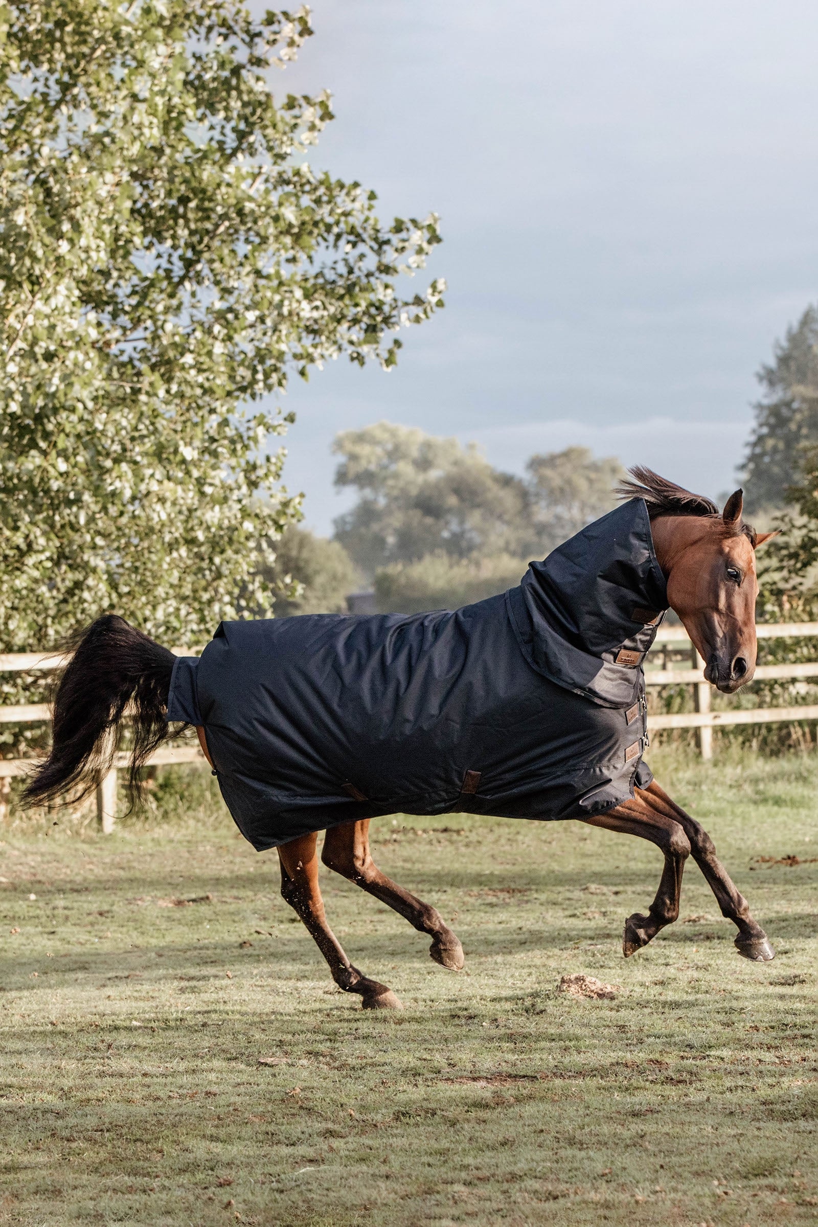 Kentucky Horsewear All Weather Waterproof Classic, Regendecke, 150g Pferdedecken