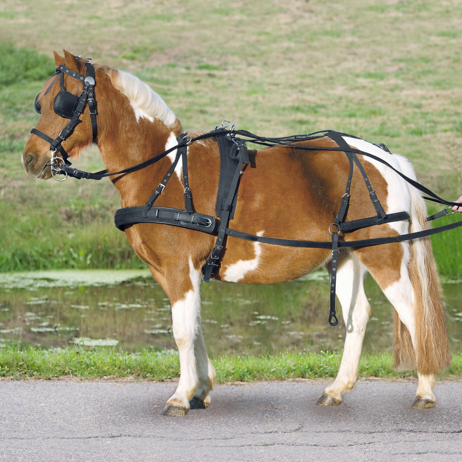Waldhausen Einspänner Synthetikgeschirr Pony und Shetland Fahrsport
