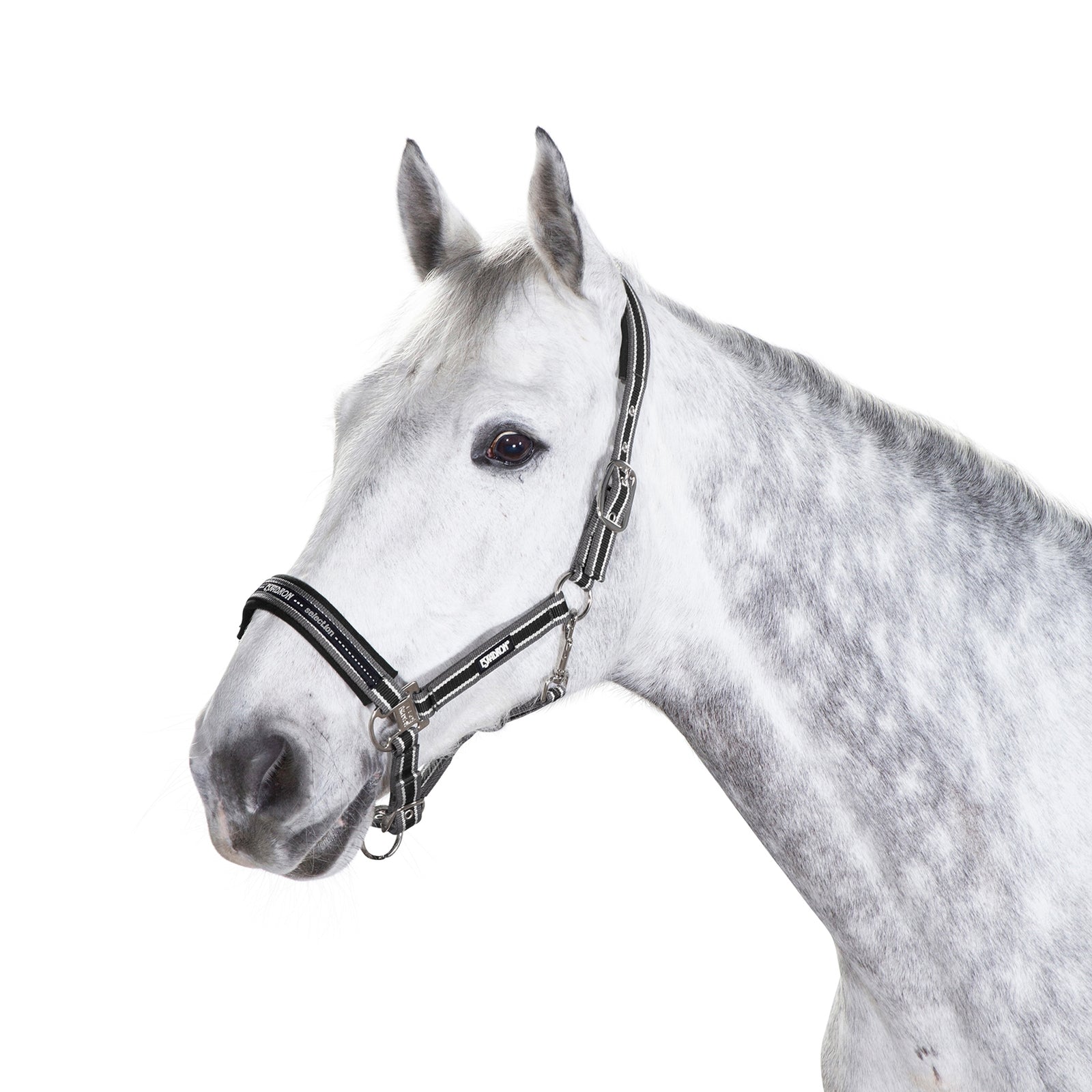 Eskadron Halfter Dornschnalle Halfter & Stricke