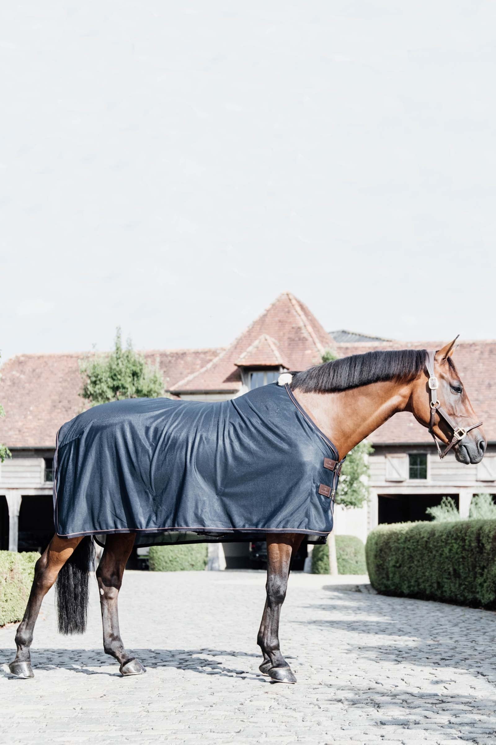 Kentucky Horsewear Mesh Fly Sheet Horse Rugs